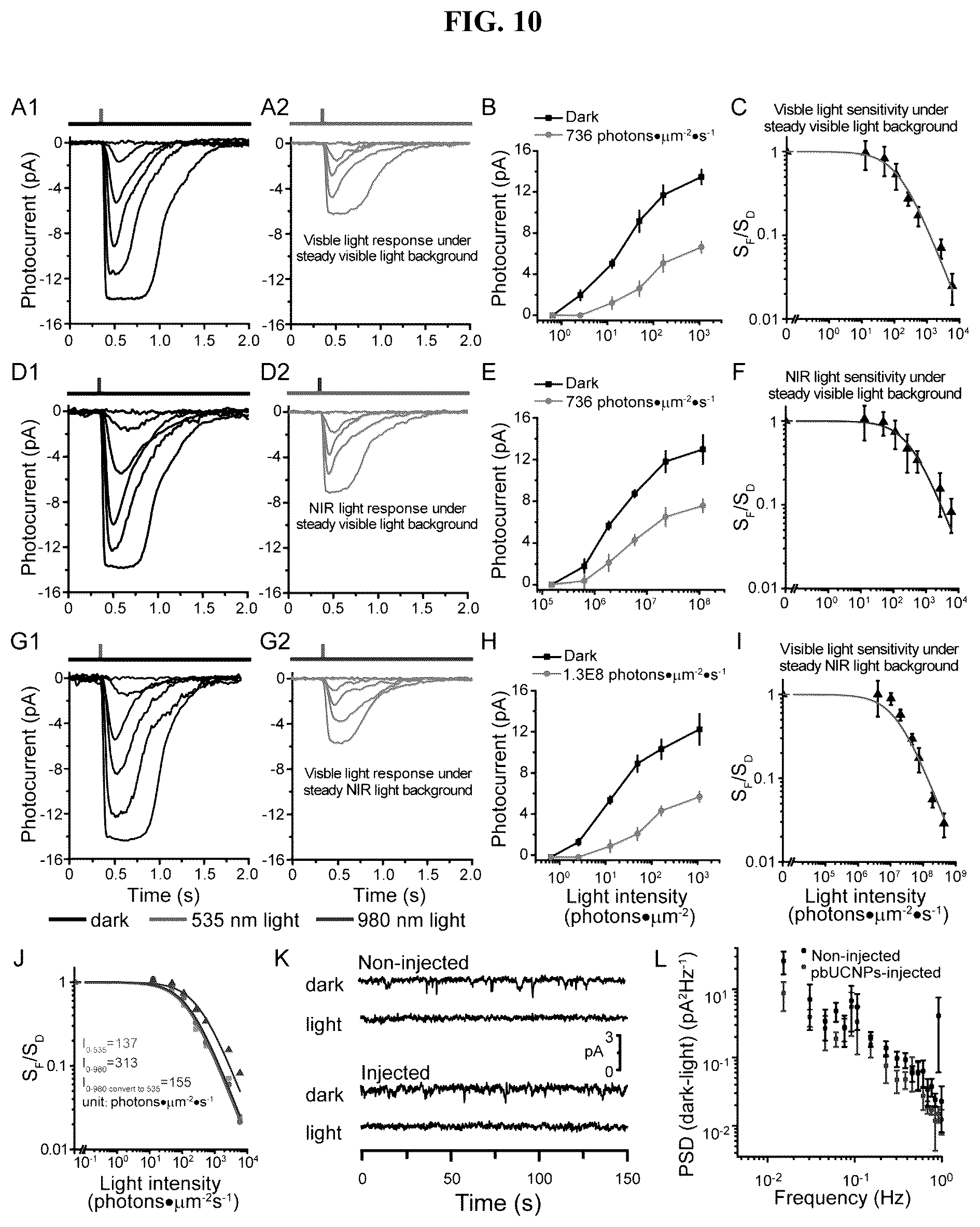 Patent US12496343 Figure 10 – Long-acting photoreceptor-binding nanoparticles, and compositions and methods thereof