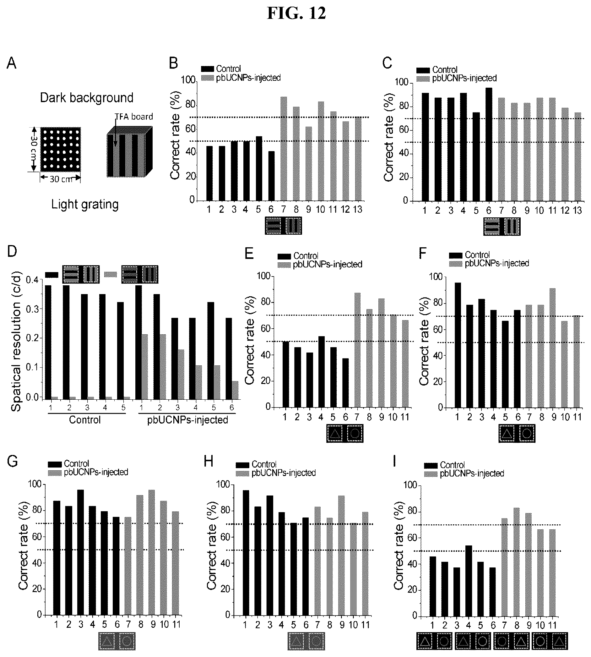 Patent US12496343 Figure 12 – Long-acting photoreceptor-binding nanoparticles, and compositions and methods thereof