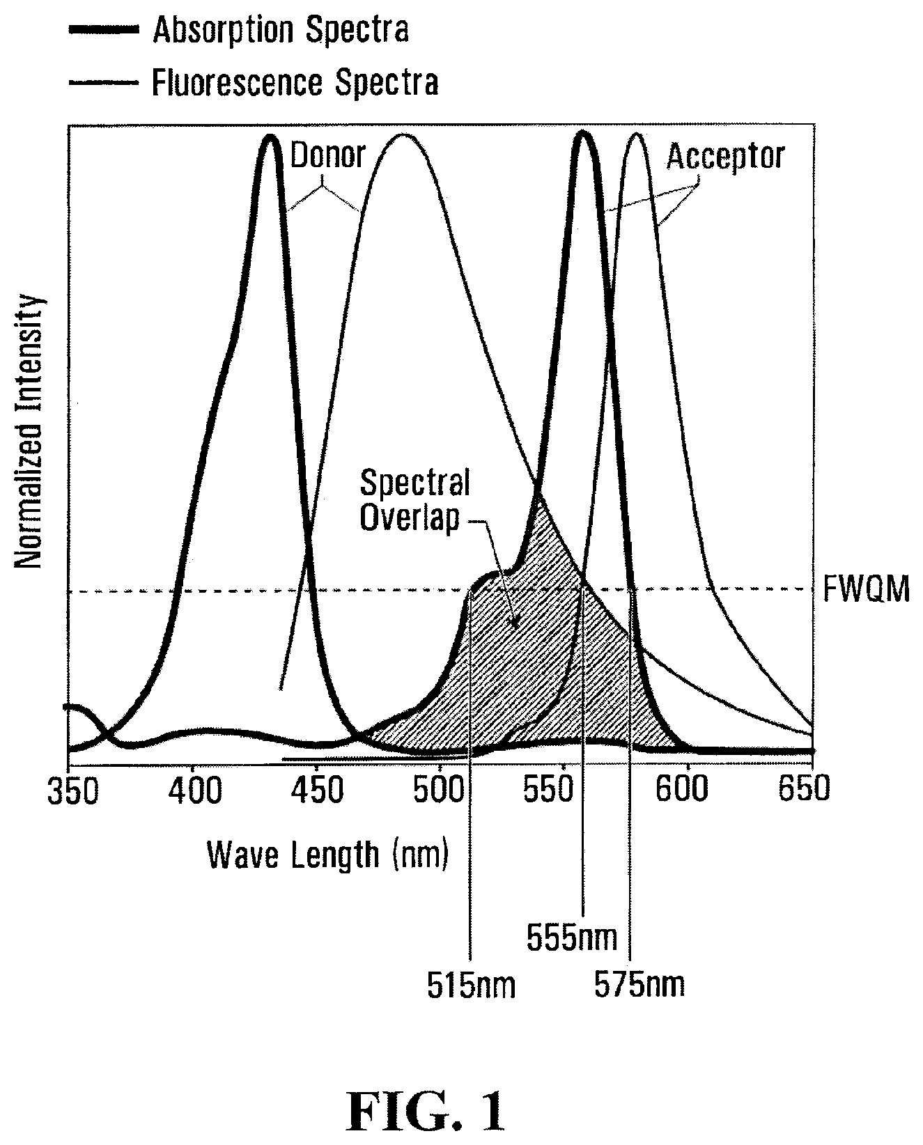 Patent US12496344 Figure 1 – Biophotonic materials and uses thereof