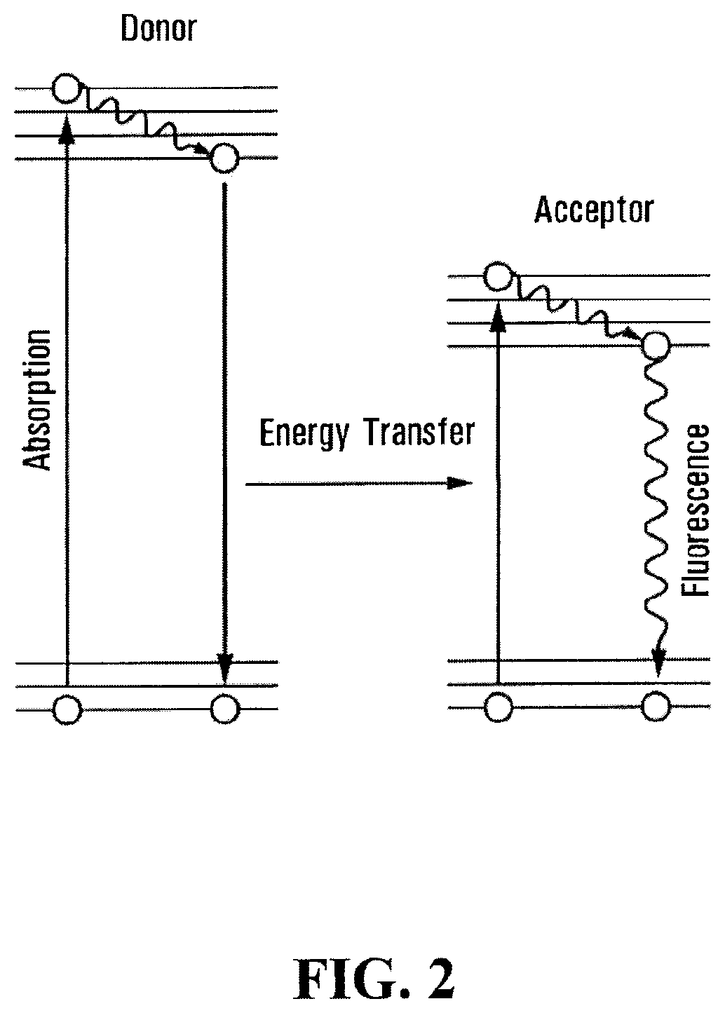 Patent US12496344 Figure 2 – Biophotonic materials and uses thereof