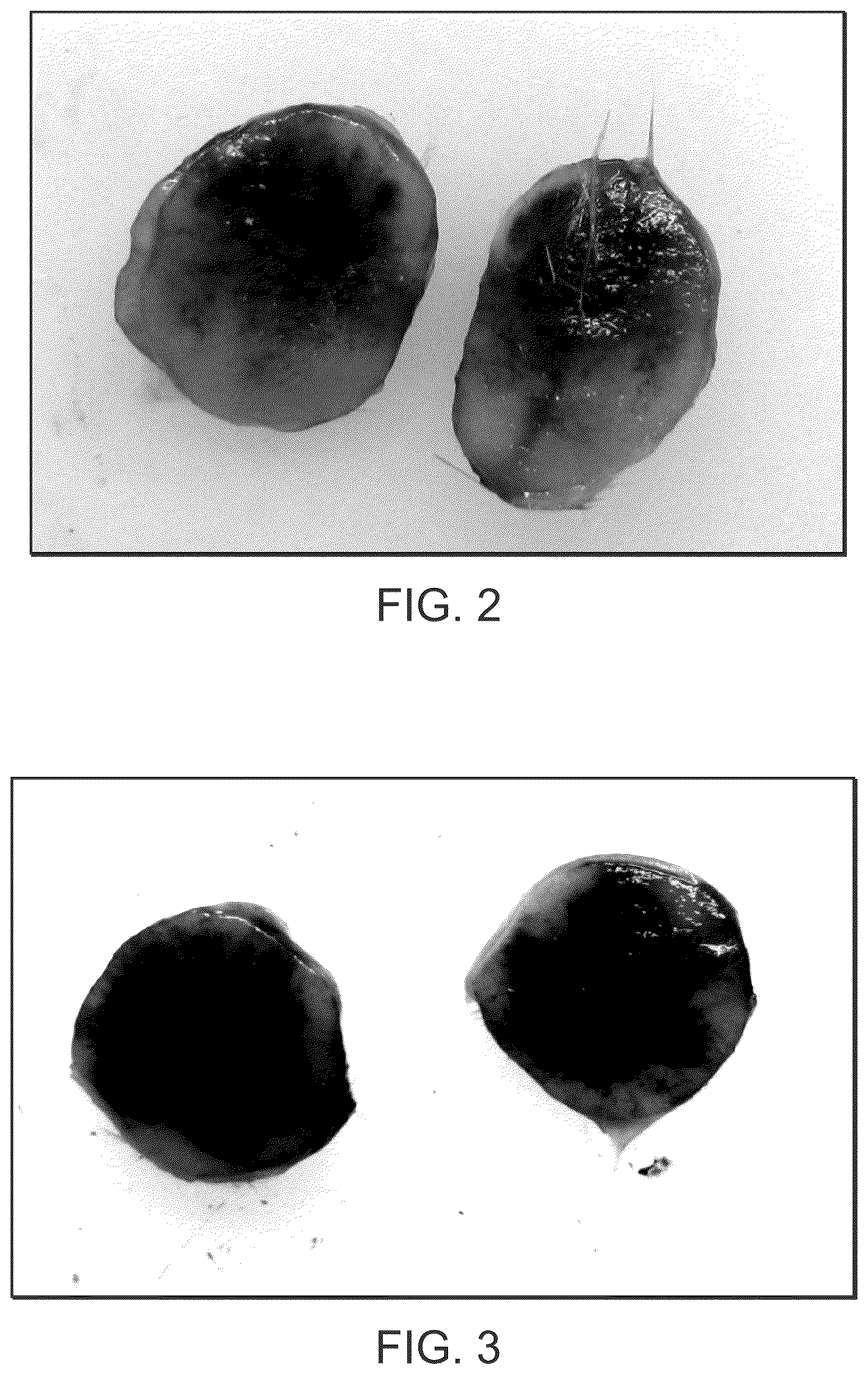Patent US12496345 Figure 2 – Method of treating cancer