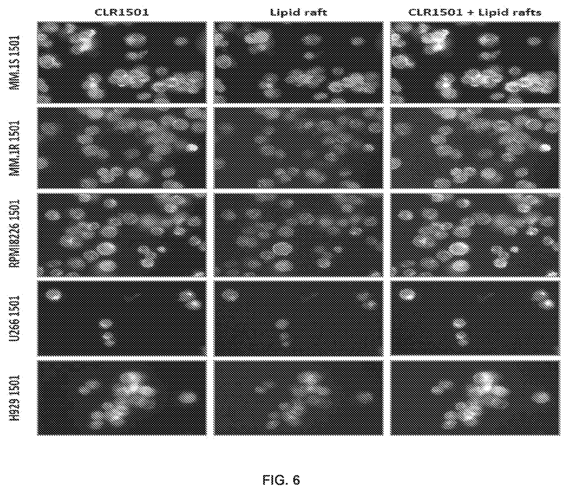 Patent US12496346 Figure 7 – Phospholipid-flavagline conjugates and methods of using the same for targeted cancer therapy
