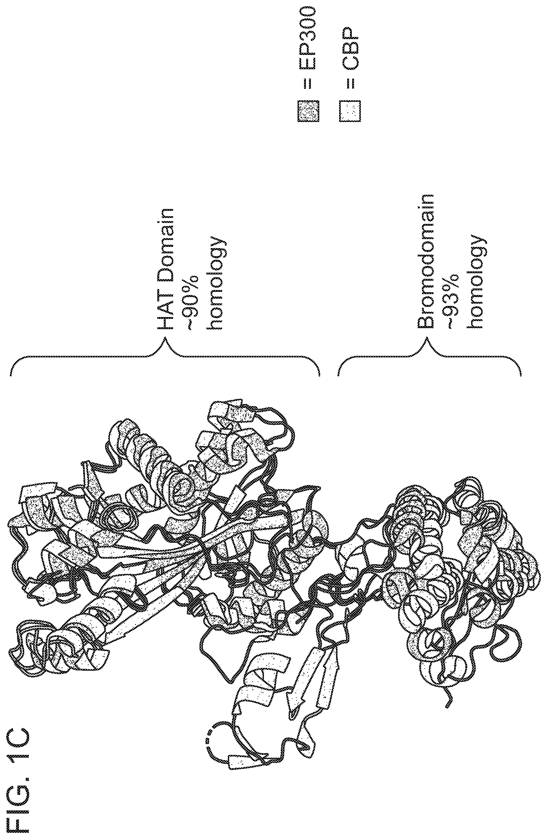 Patent US12496348 Figure 3 – Small molecule target bromo/acetyl proteins and uses thereof
