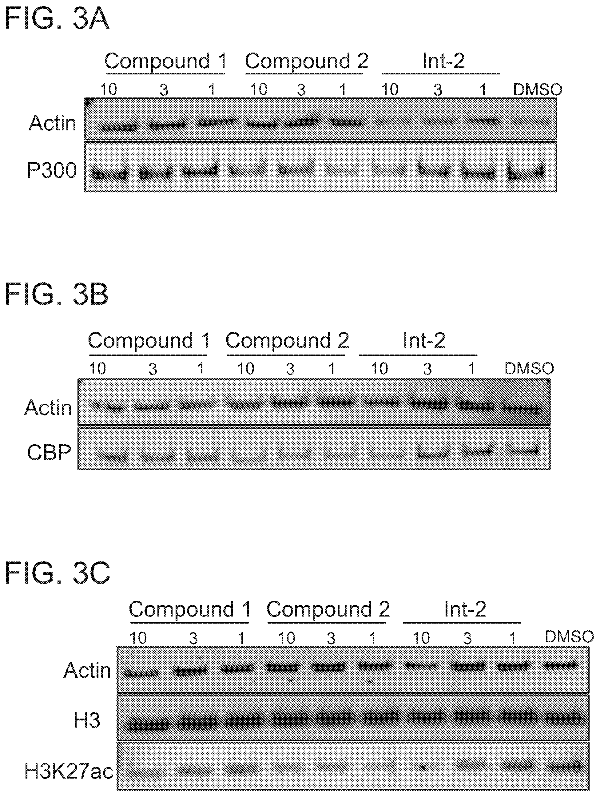 Patent US12496348 Figure 5 – Small molecule target bromo/acetyl proteins and uses thereof