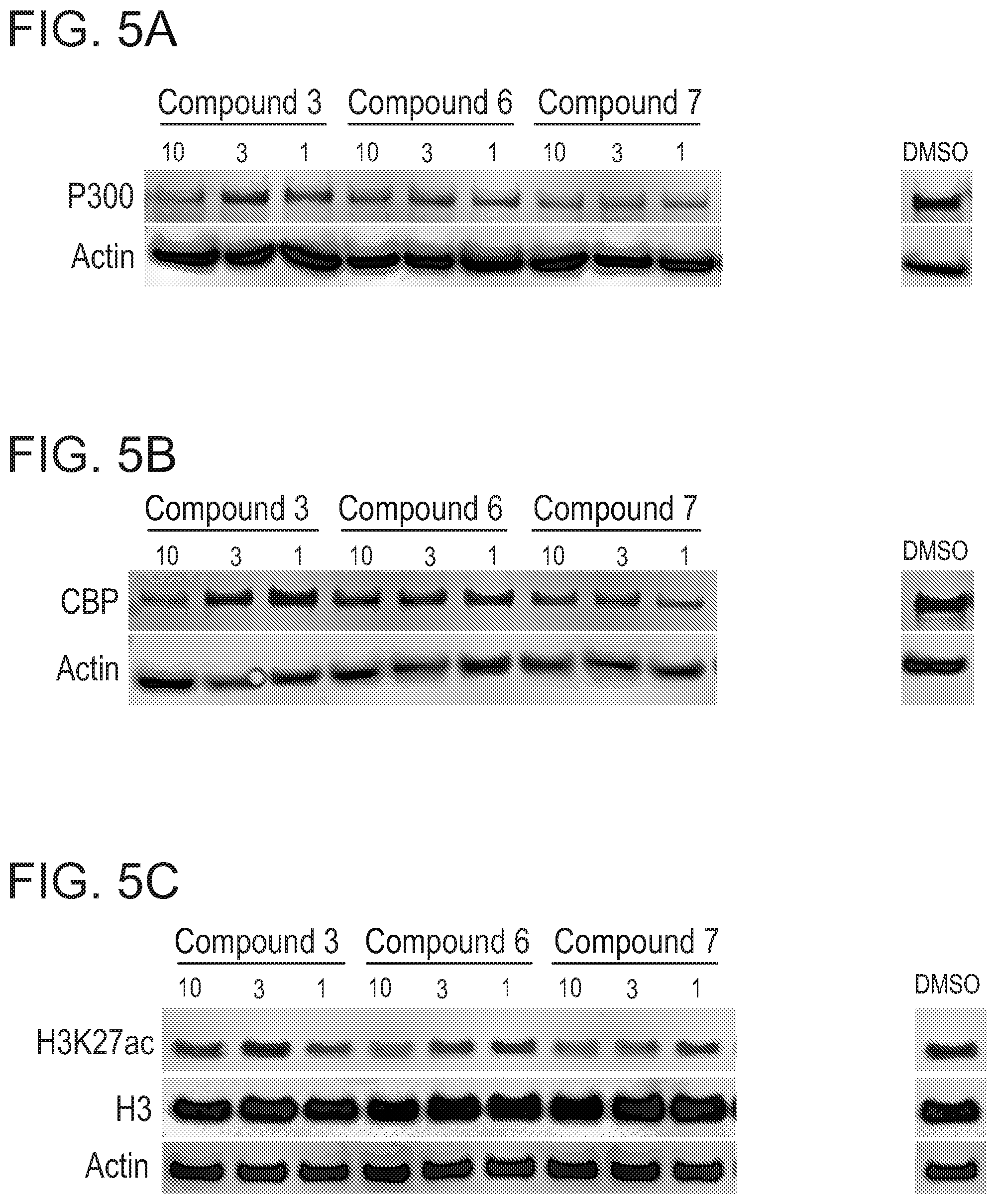 Patent US12496348 Figure 7 – Small molecule target bromo/acetyl proteins and uses thereof