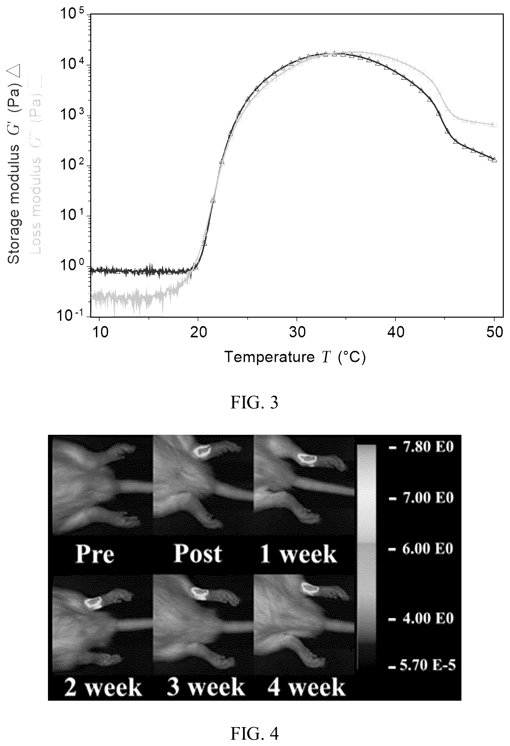 Patent US12496349 Figure 2 – Macromolecular prodrug-based thermosensitive injectable gel as a novel drug delivery platform