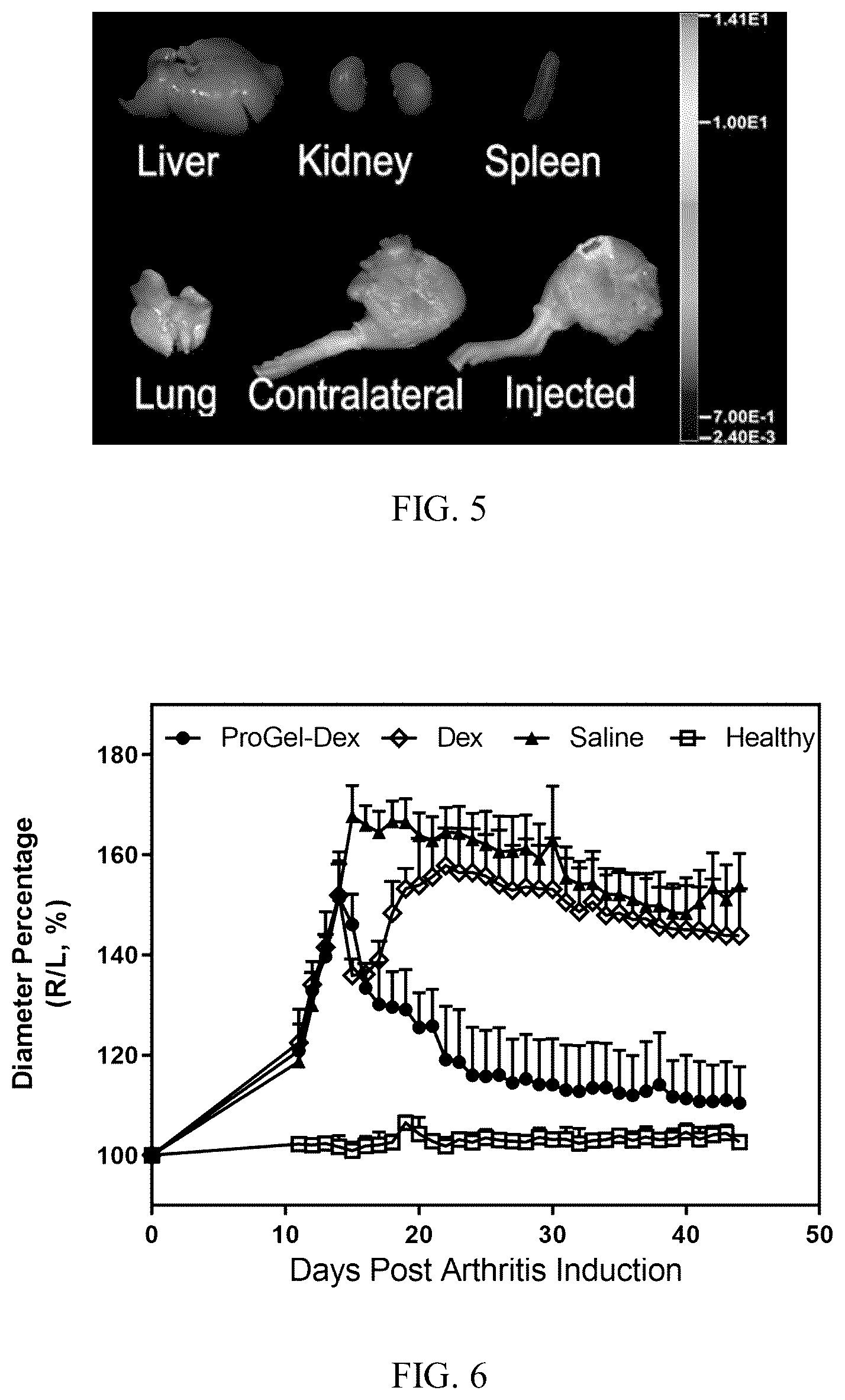 Patent US12496349 Figure 3 – Macromolecular prodrug-based thermosensitive injectable gel as a novel drug delivery platform
