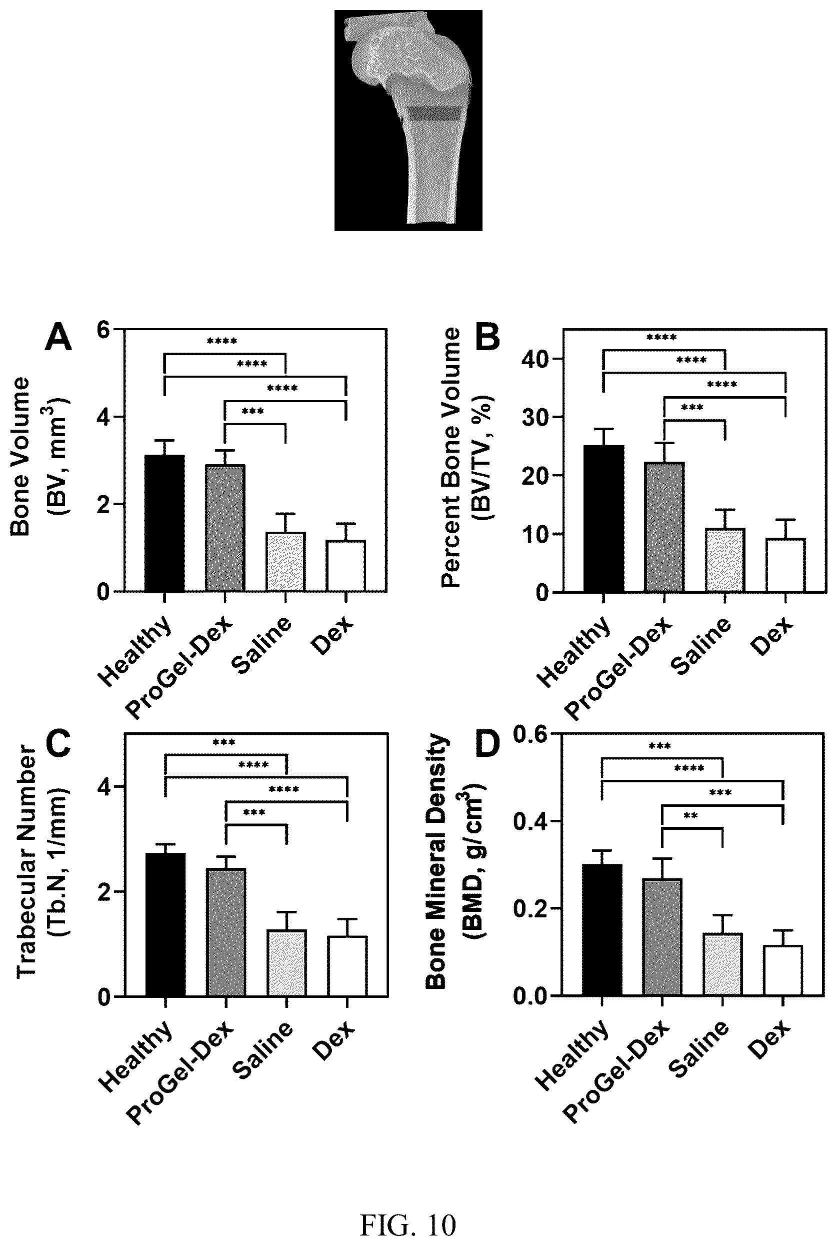Patent US12496349 Figure 6 – Macromolecular prodrug-based thermosensitive injectable gel as a novel drug delivery platform