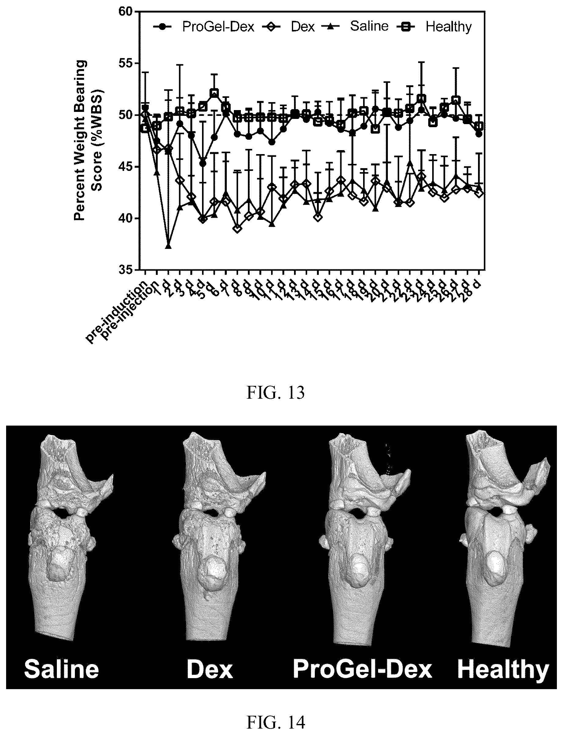 Patent US12496349 Figure 8 – Macromolecular prodrug-based thermosensitive injectable gel as a novel drug delivery platform