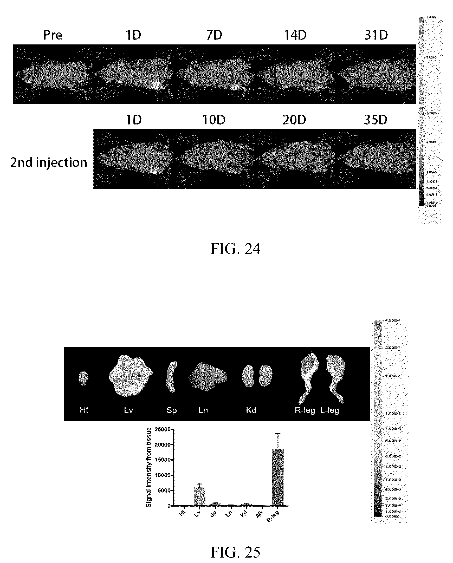 Patent US12496349 Figure 16 – Macromolecular prodrug-based thermosensitive injectable gel as a novel drug delivery platform