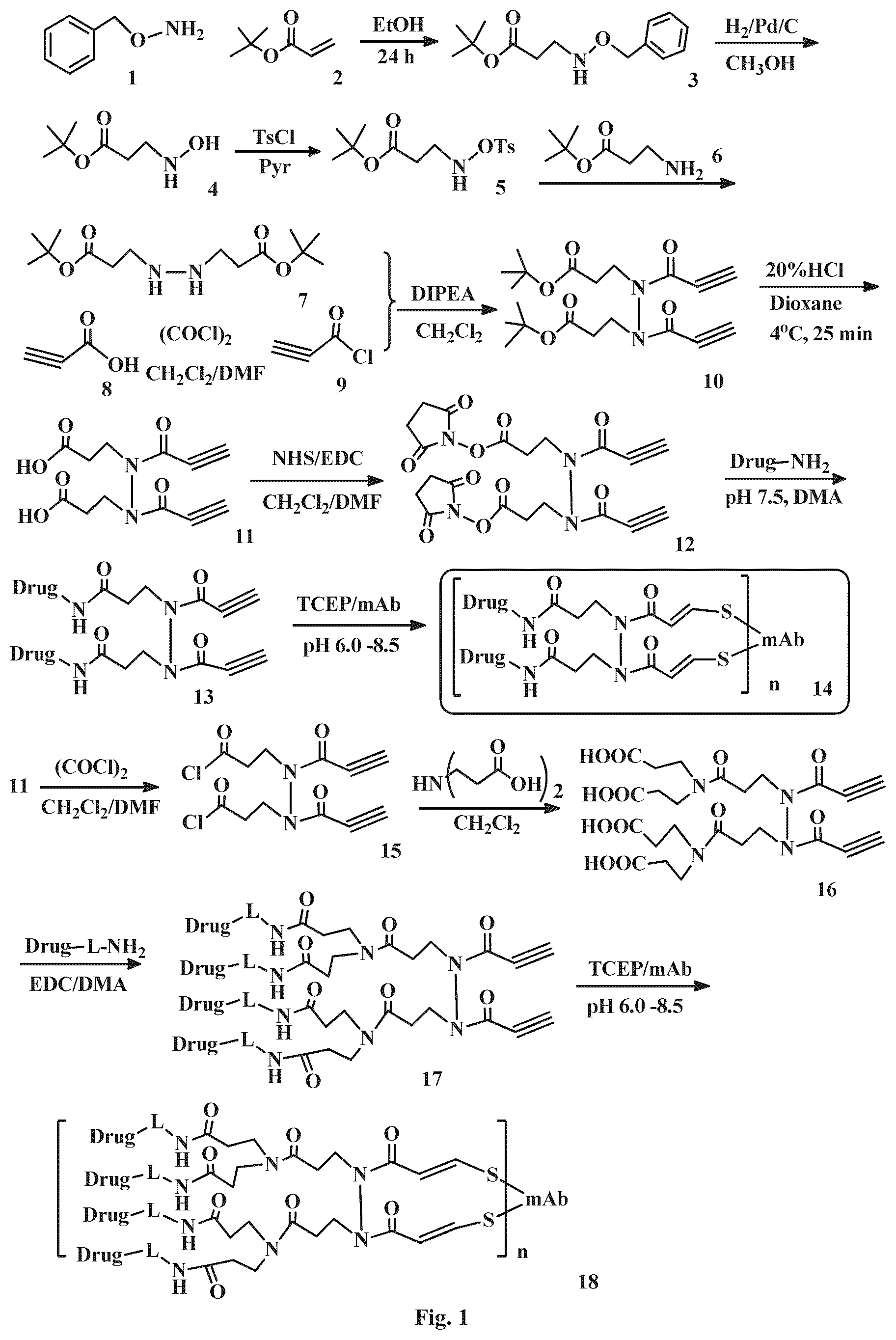 Patent US12496351 Figure 1 – Conjugation linkers, cell binding molecule-drug conjugates containing the linkers, methods of making and uses such conjugates with the linkers