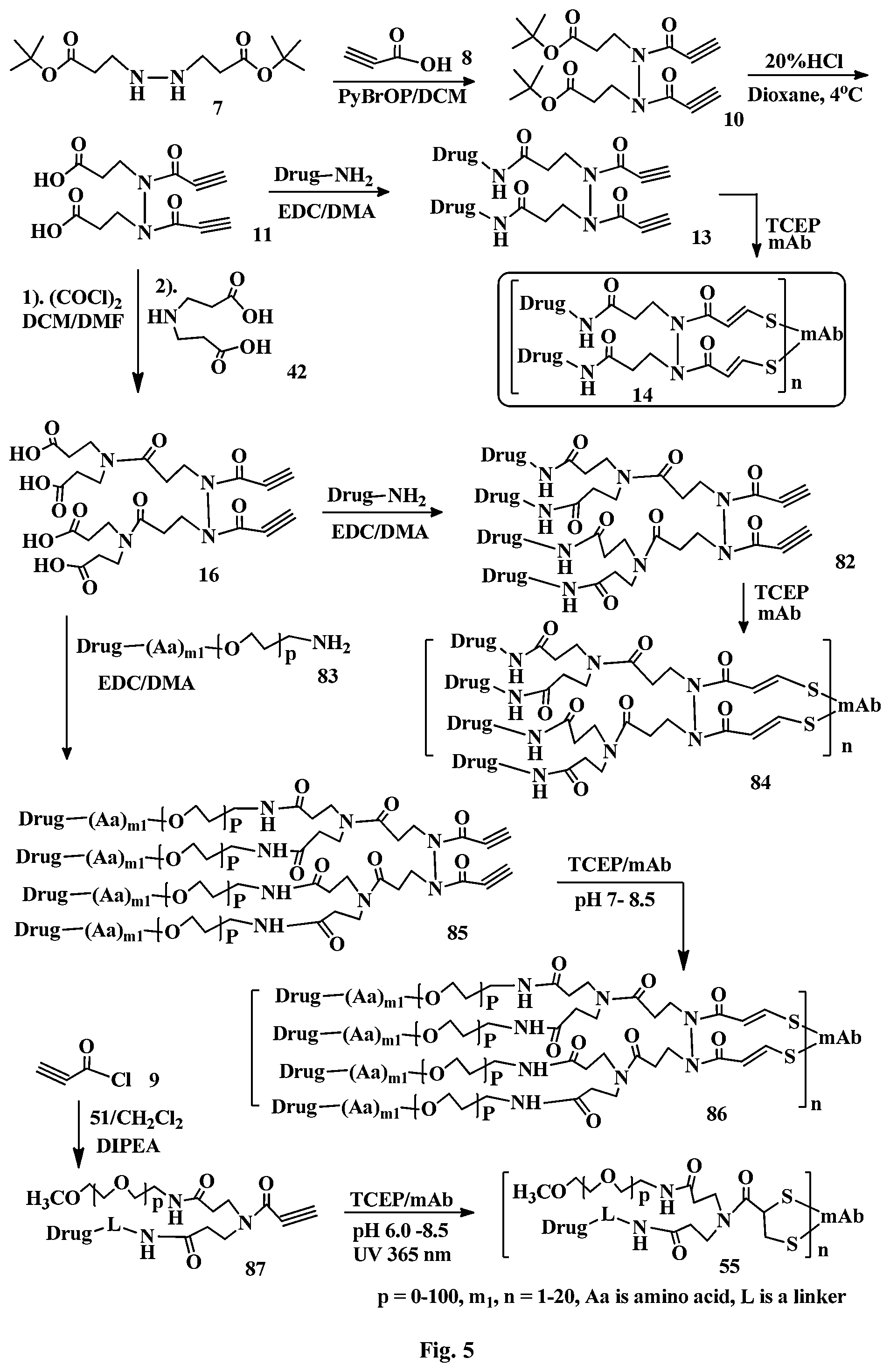 Patent US12496351 Figure 5 – Conjugation linkers, cell binding molecule-drug conjugates containing the linkers, methods of making and uses such conjugates with the linkers