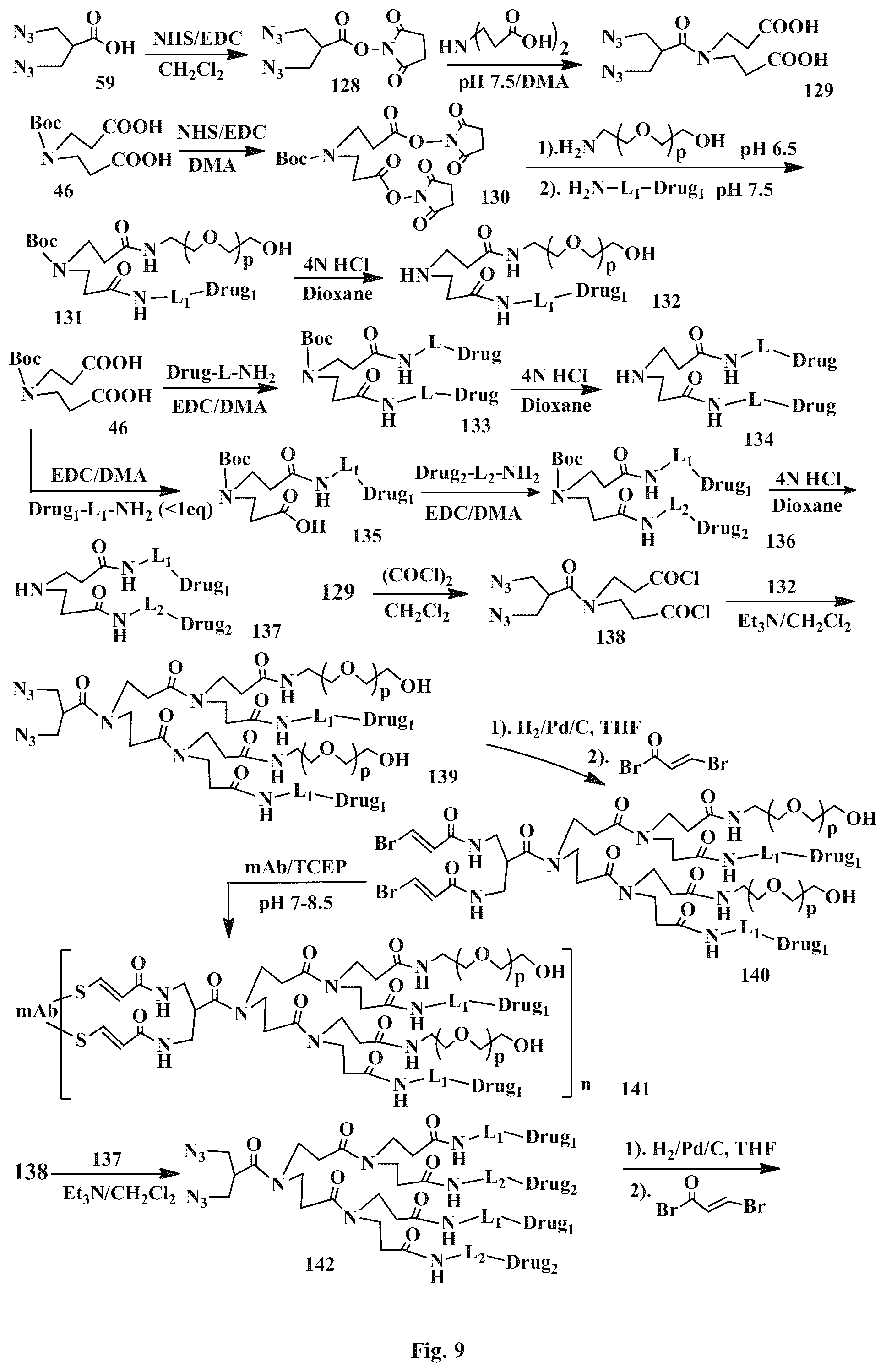 Patent US12496351 Figure 9 – Conjugation linkers, cell binding molecule-drug conjugates containing the linkers, methods of making and uses such conjugates with the linkers