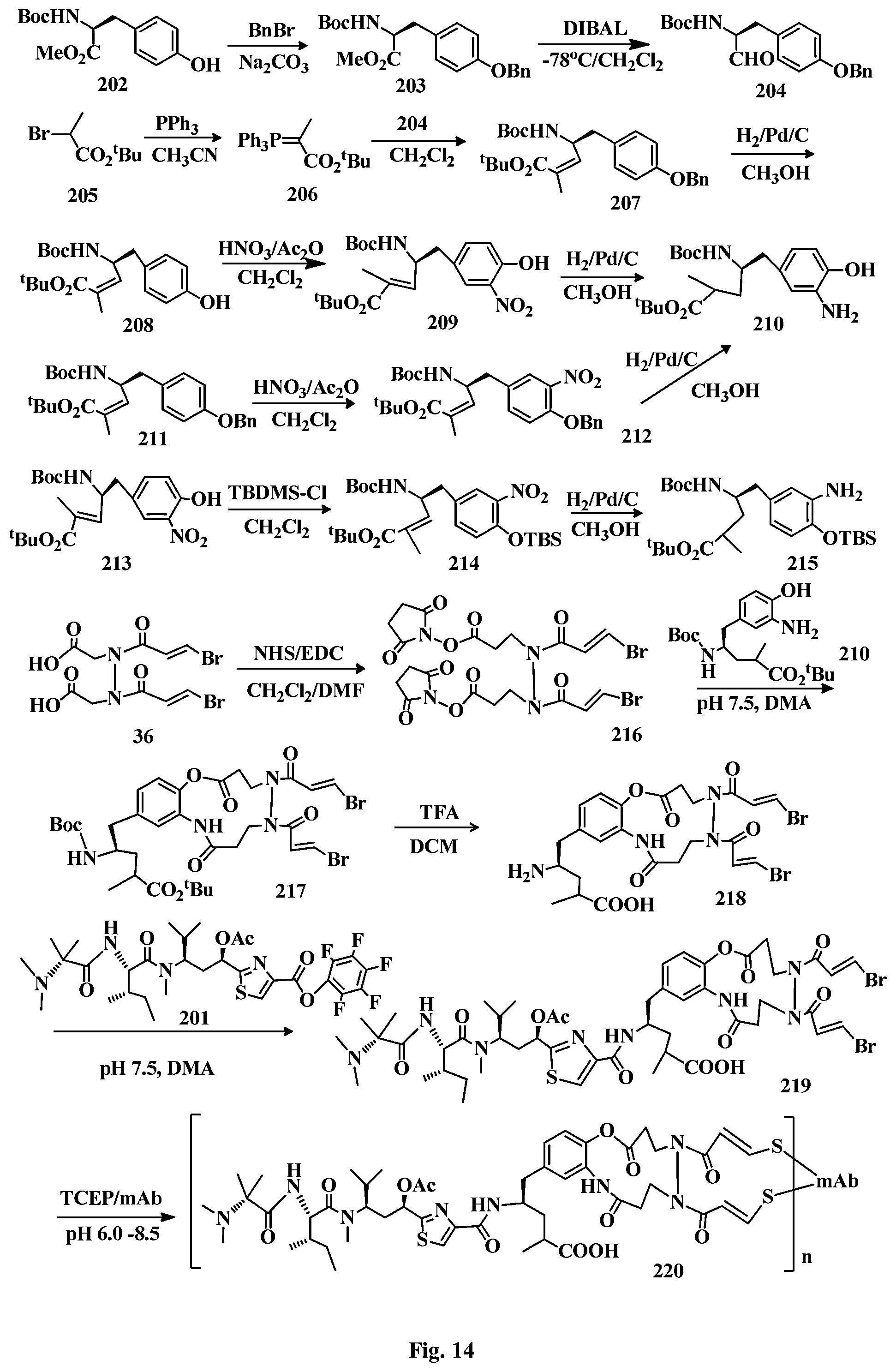 Patent US12496351 Figure 14 – Conjugation linkers, cell binding molecule-drug conjugates containing the linkers, methods of making and uses such conjugates with the linkers