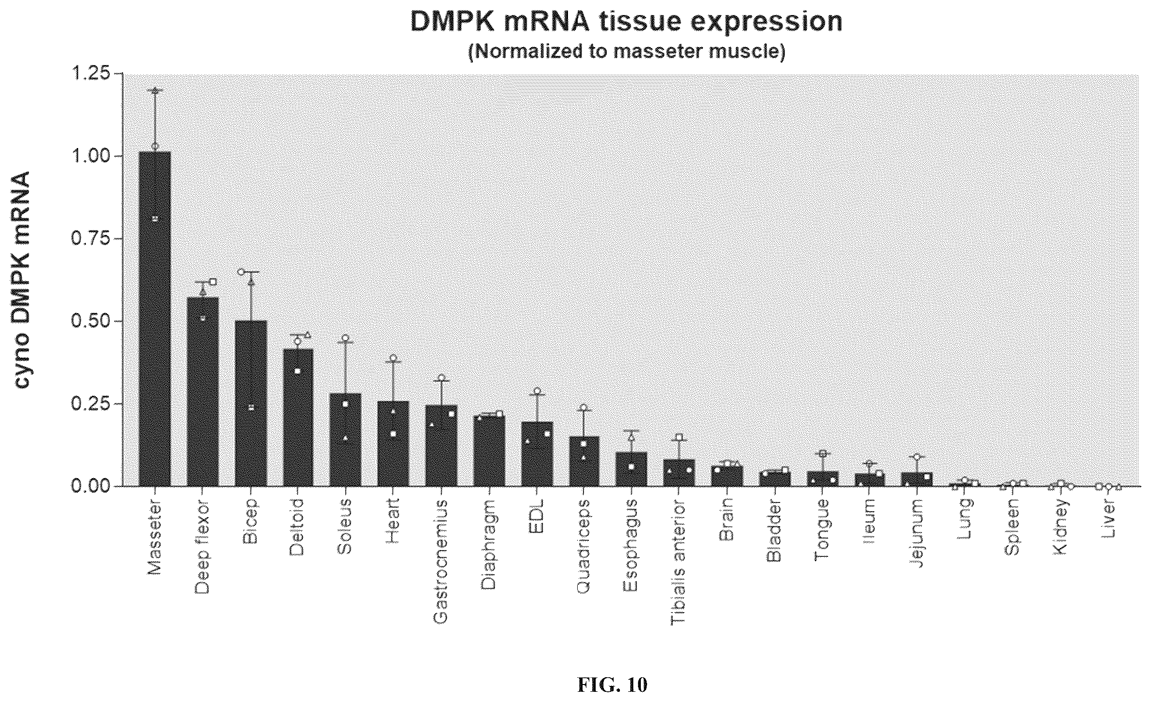 Patent US12496352 Figure 19 – Muscle targeting complexes and uses thereof for treating myotonic dystrophy