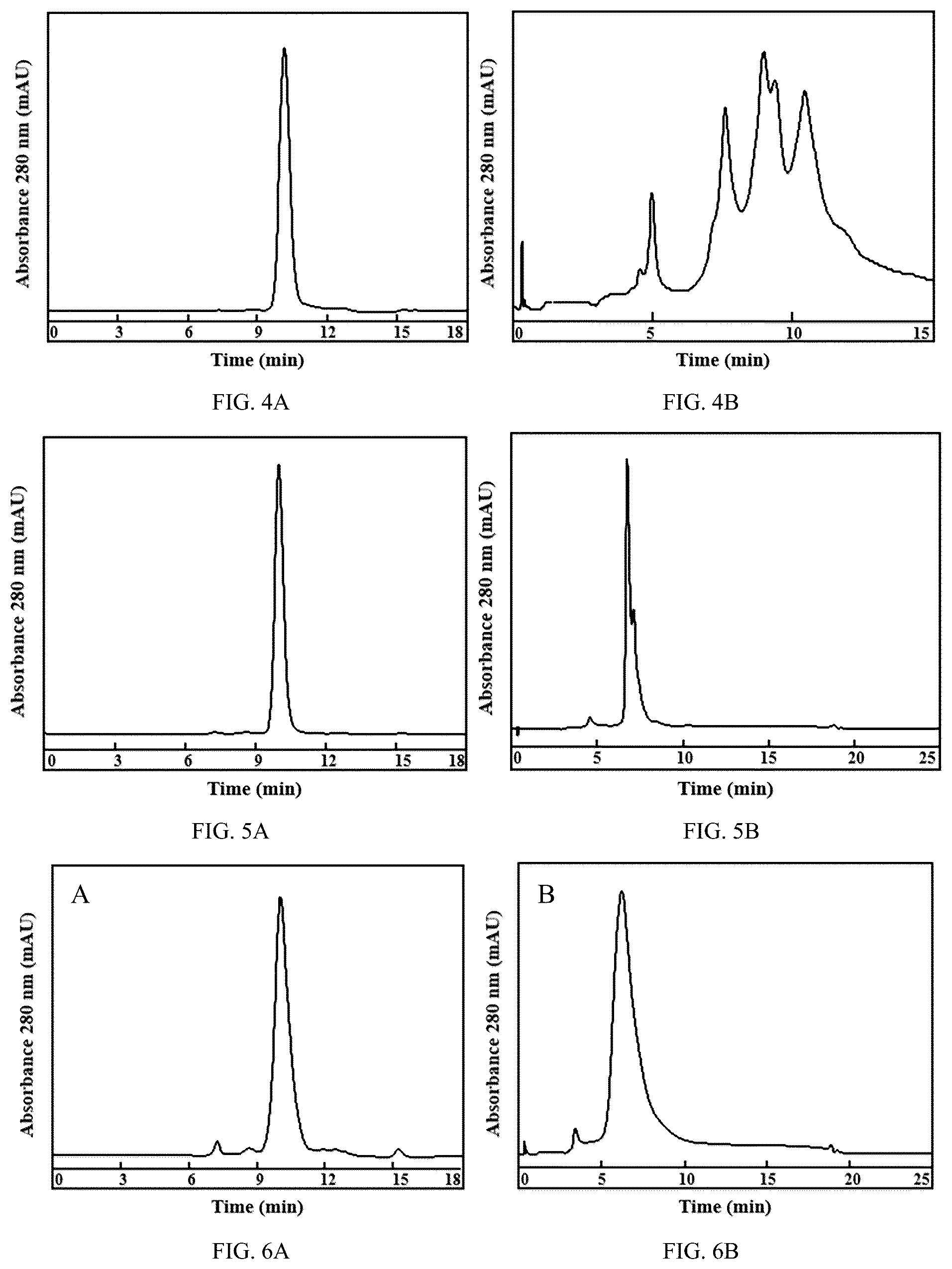 Patent US12496354 Figure 2 – CD142 antibodies, antibody-drug conjugates, preparations and uses thereof