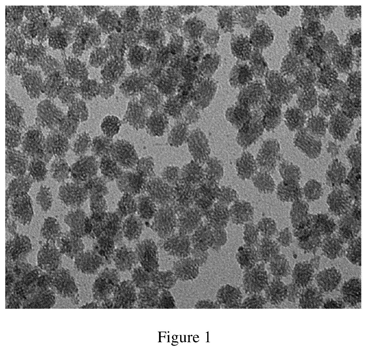 Patent US12496355 Figure 1 – Method for treating a cancer and/or cancer metastasis