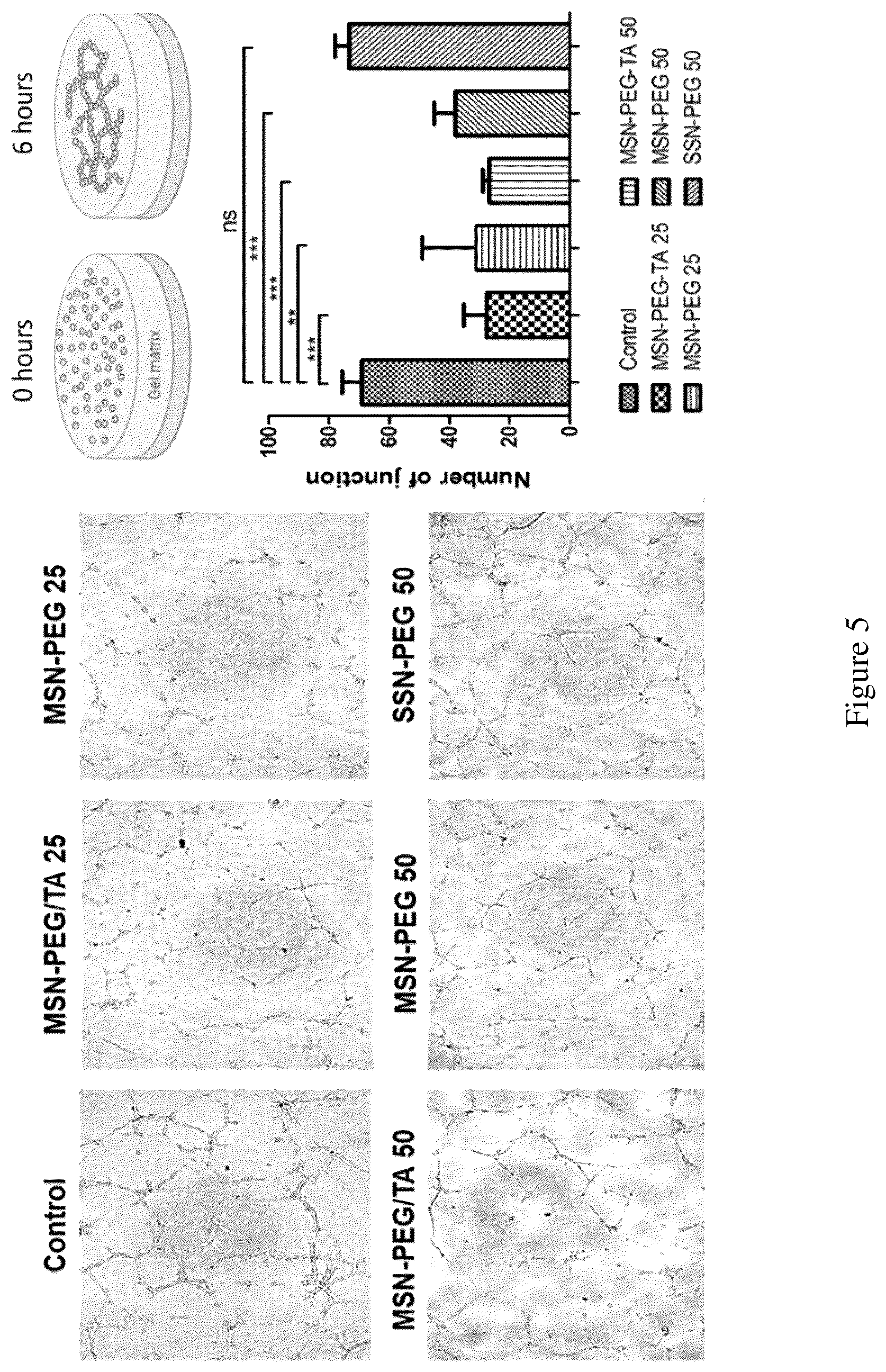 Patent US12496355 Figure 6 – Method for treating a cancer and/or cancer metastasis