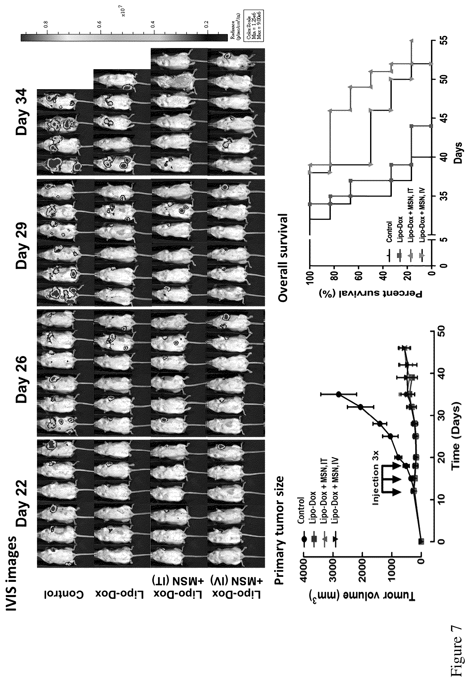 Patent US12496355 Figure 8 – Method for treating a cancer and/or cancer metastasis