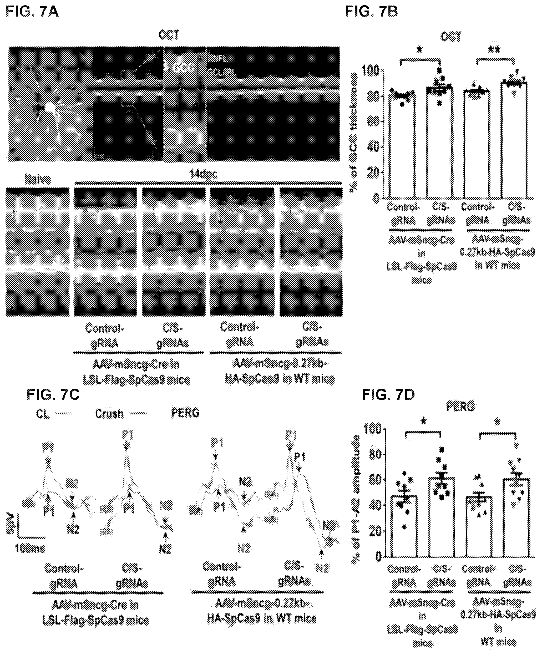 Patent US12496356 Figure 7 – Neuroprotection of neuronal soma and axon by modulating ER stress/UPR molecules