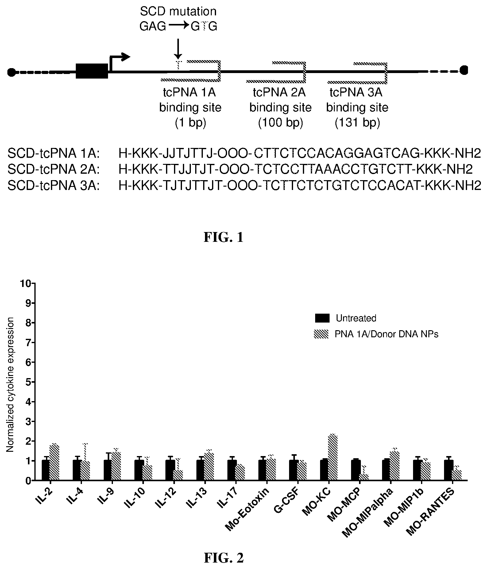 Patent US12496357 Figure 1 – Compositions and methods for treating sickle cell disease