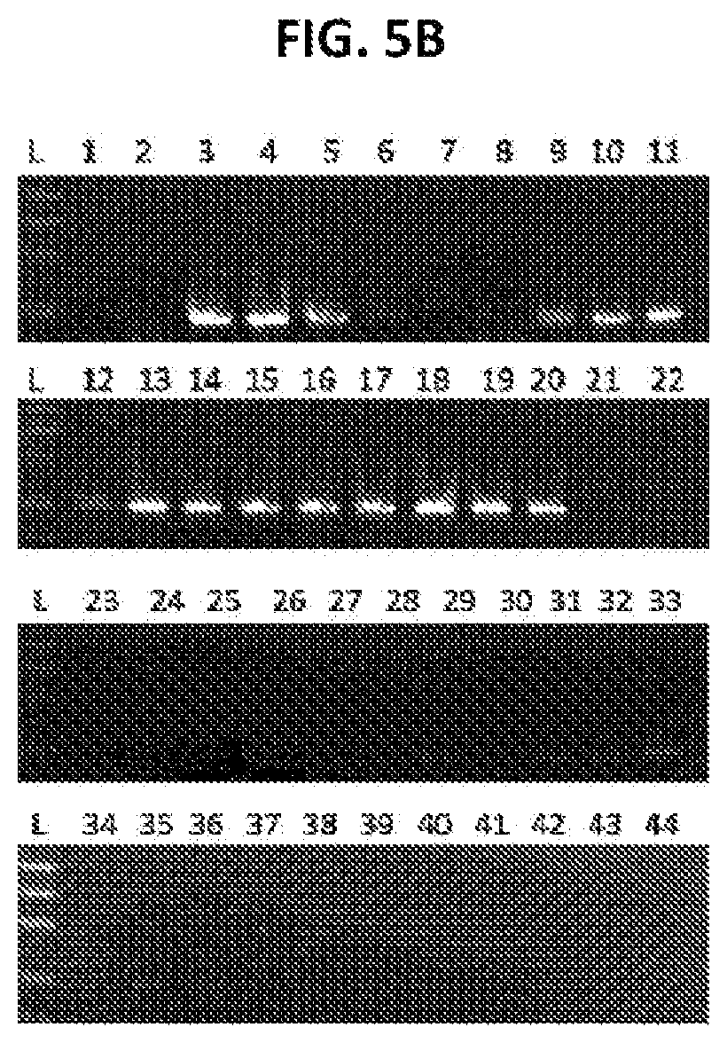 Patent US12496358 Figure 11 – Modified nucleosides, nucleotides, and nucleic acids, and uses thereof