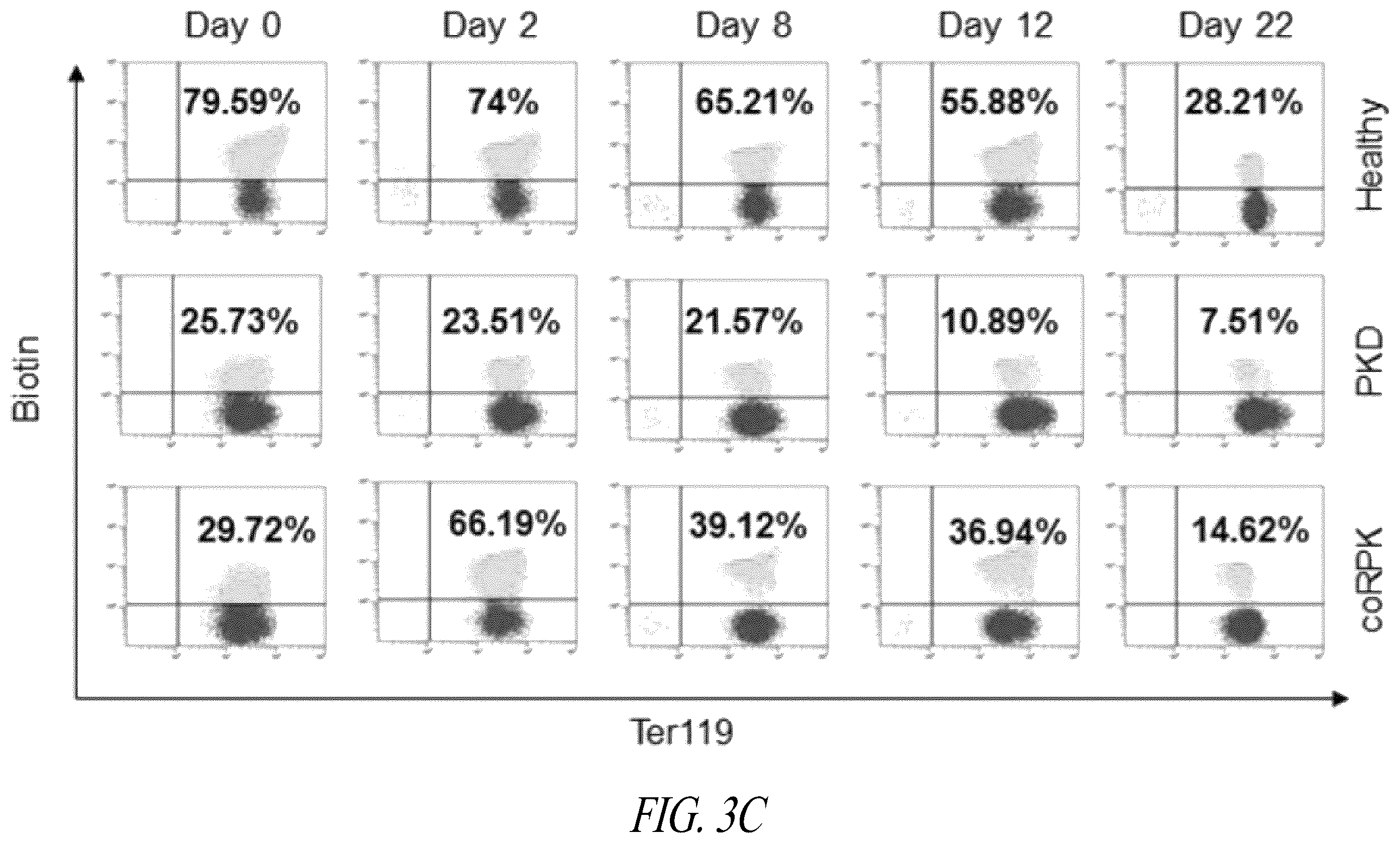 Patent US12496359 Figure 4 – Lentiviral vectors for delivery of PKLR to treat Pyruvate Kinase Deficiency