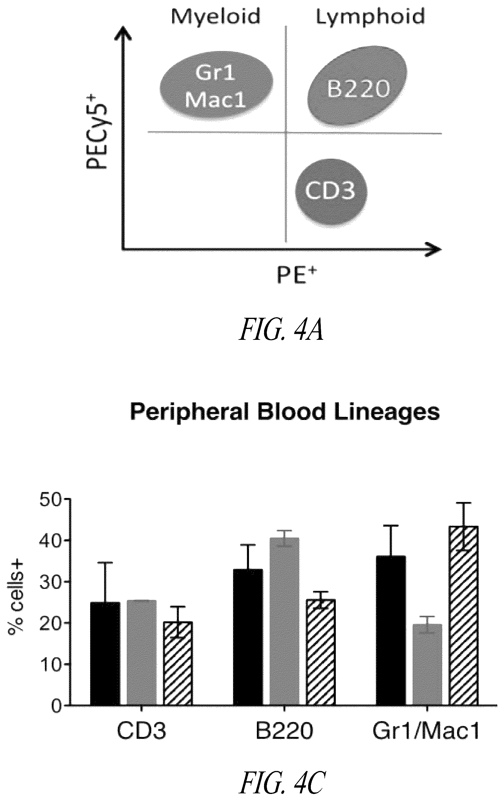 Patent US12496359 Figure 6 – Lentiviral vectors for delivery of PKLR to treat Pyruvate Kinase Deficiency