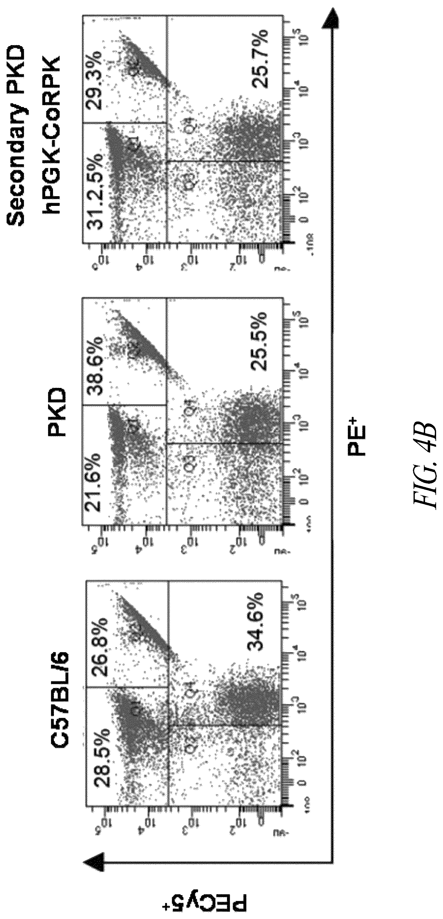 Patent US12496359 Figure 7 – Lentiviral vectors for delivery of PKLR to treat Pyruvate Kinase Deficiency