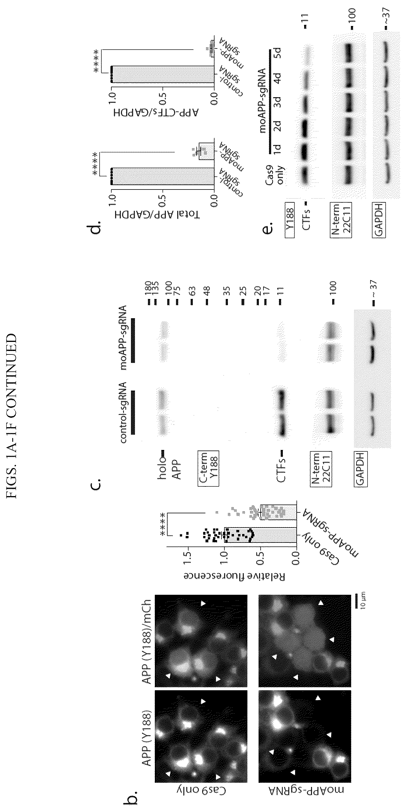 Patent US12496360 Figure 2 – Gene editing-based method of attenuating the beta-amyloid pathway