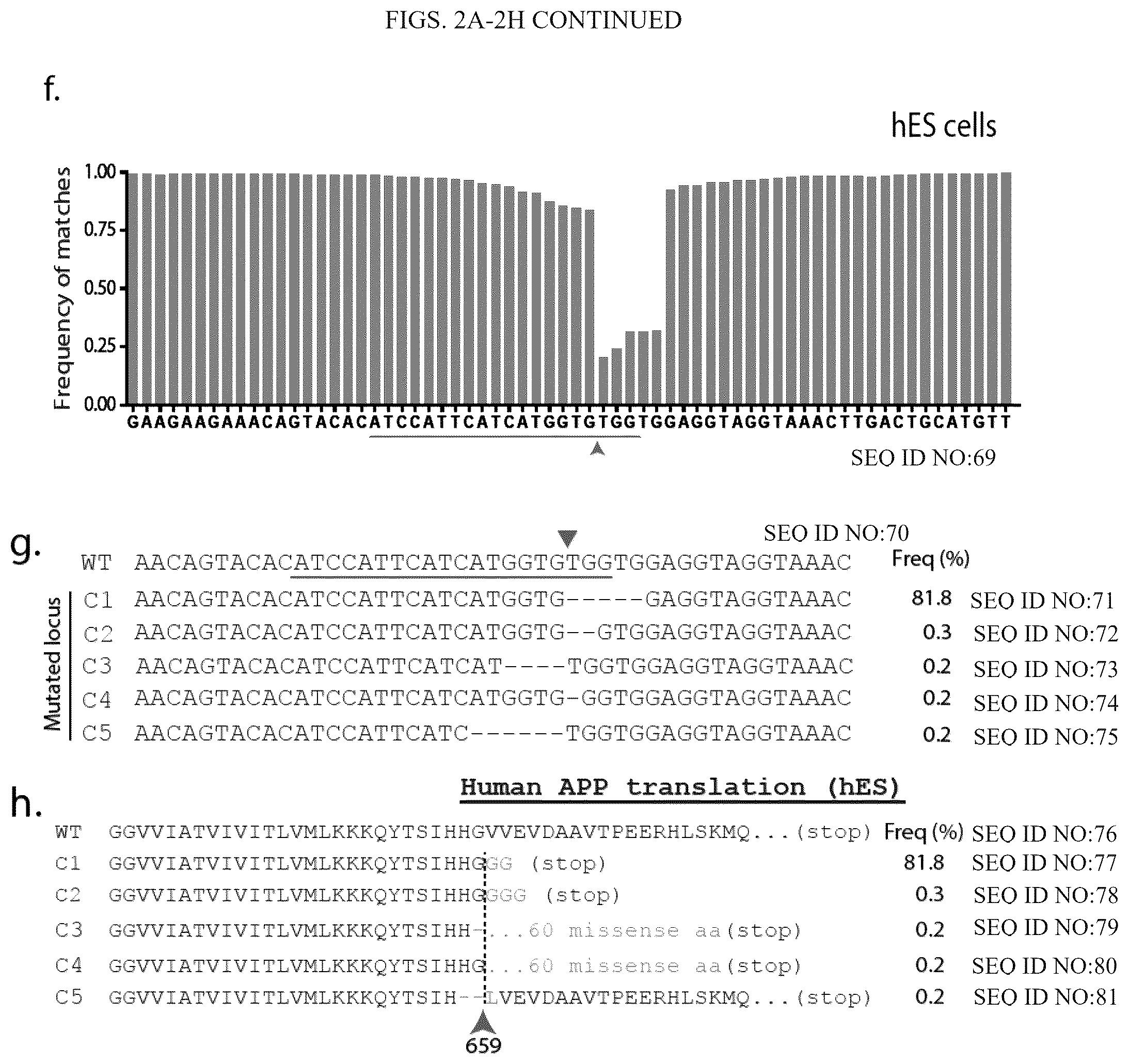 Patent US12496360 Figure 6 – Gene editing-based method of attenuating the beta-amyloid pathway