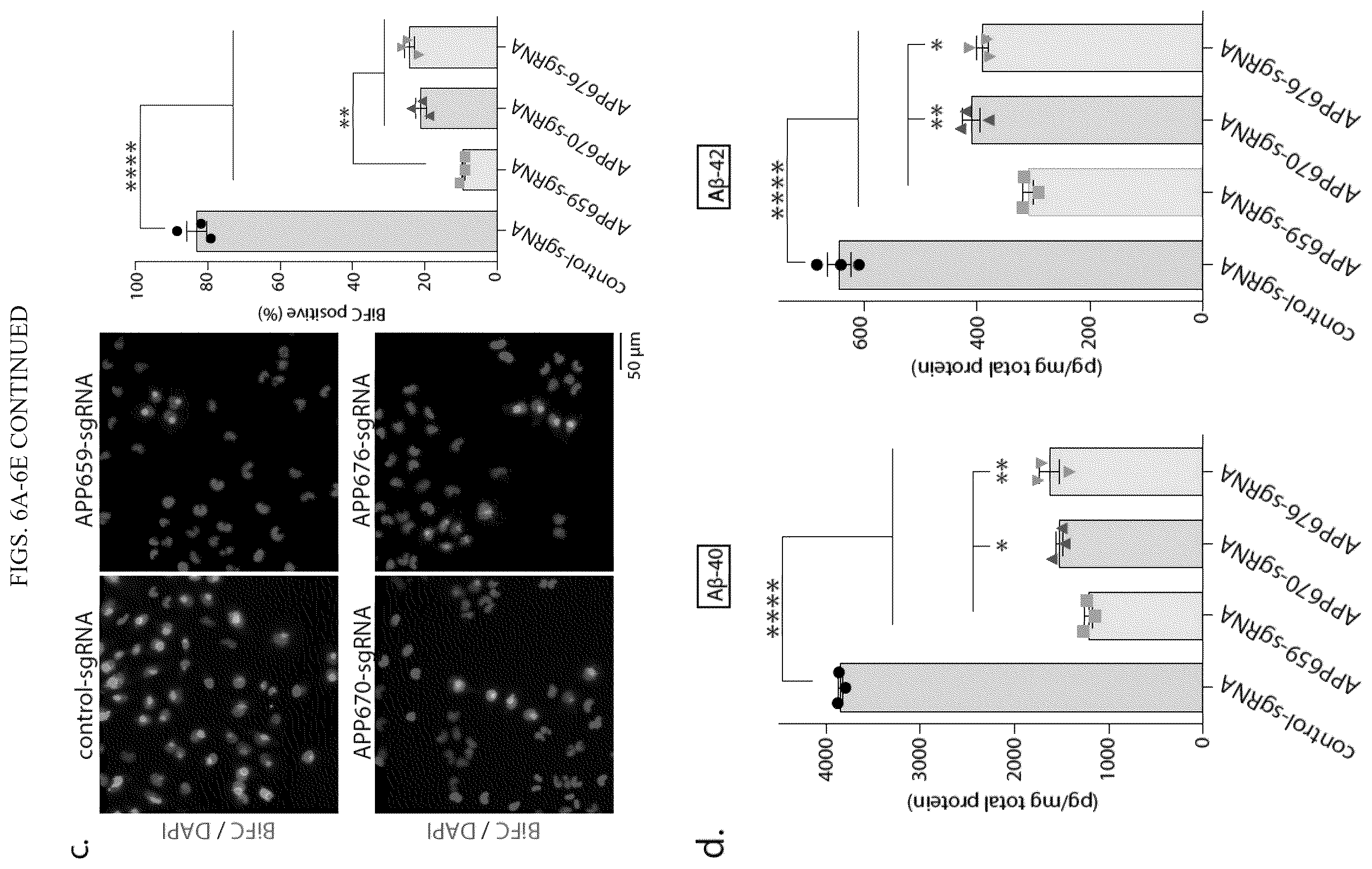 Patent US12496360 Figure 16 – Gene editing-based method of attenuating the beta-amyloid pathway