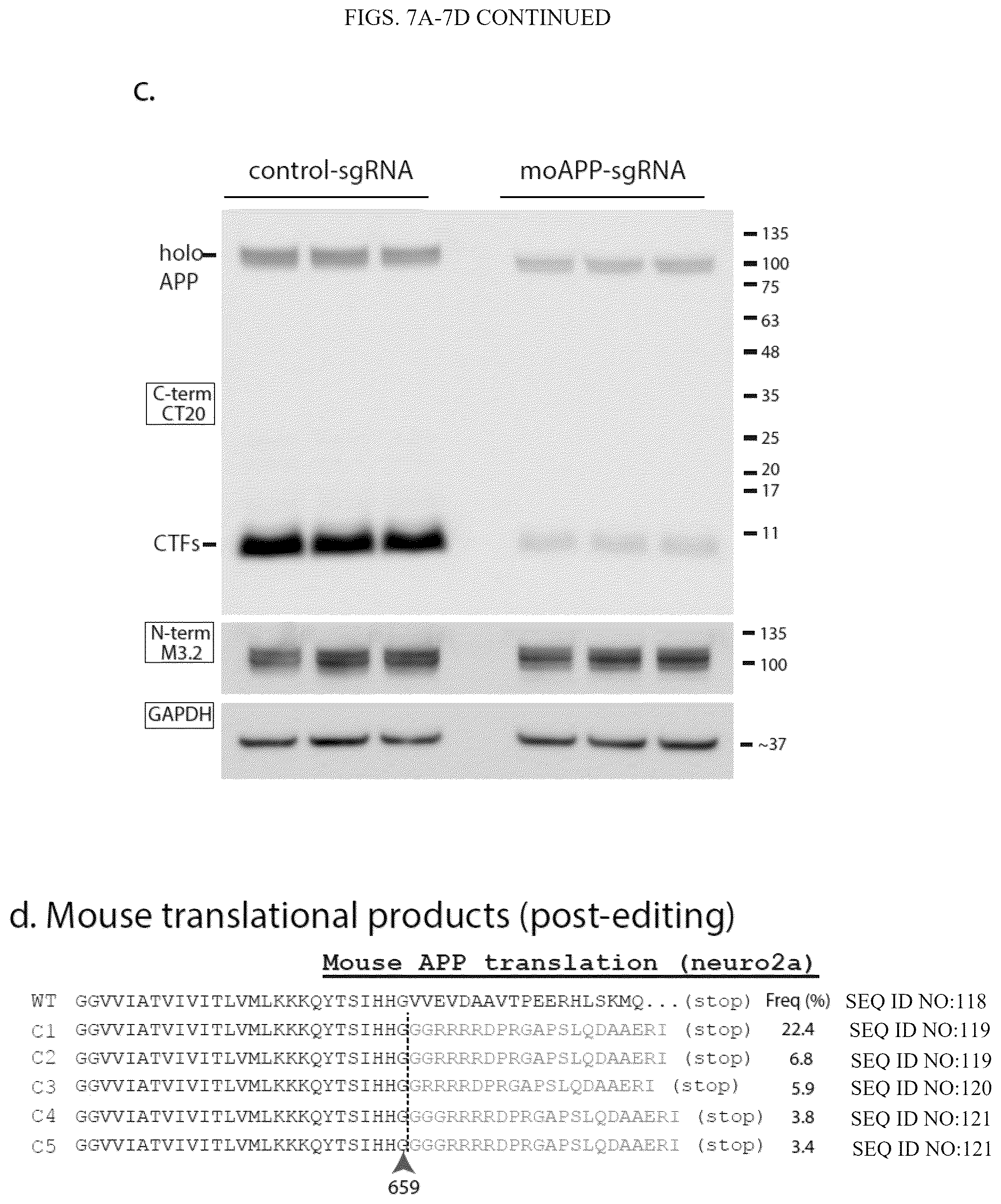 Patent US12496360 Figure 20 – Gene editing-based method of attenuating the beta-amyloid pathway