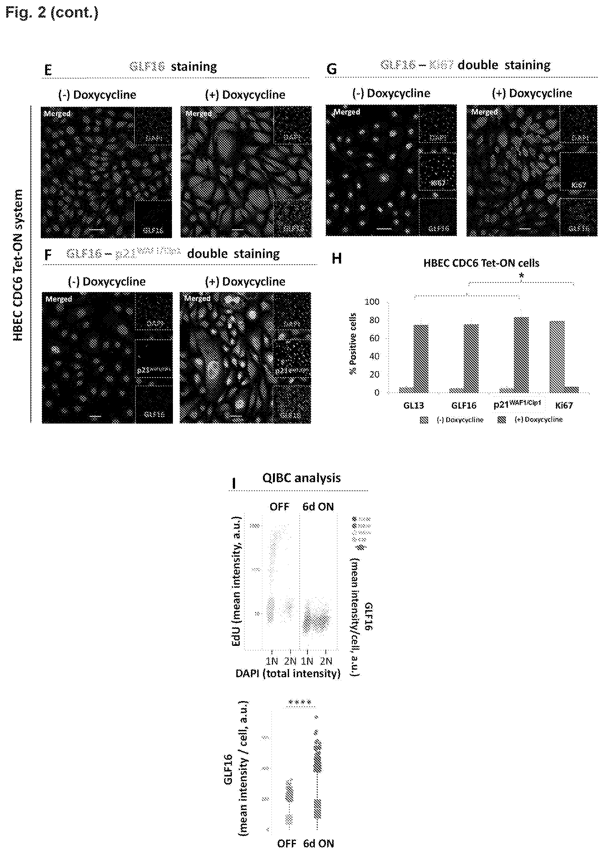 Patent US12496361 Figure 3 – Imaging compounds for detecting or imaging senescent cells