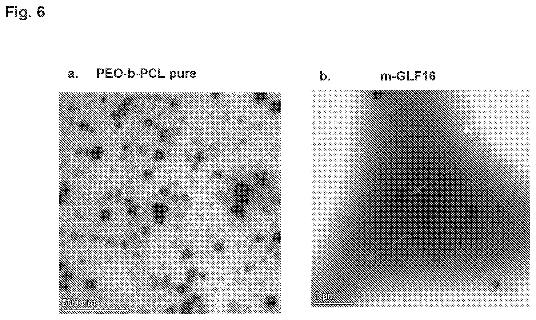 Patent US12496361 Figure 8 – Imaging compounds for detecting or imaging senescent cells