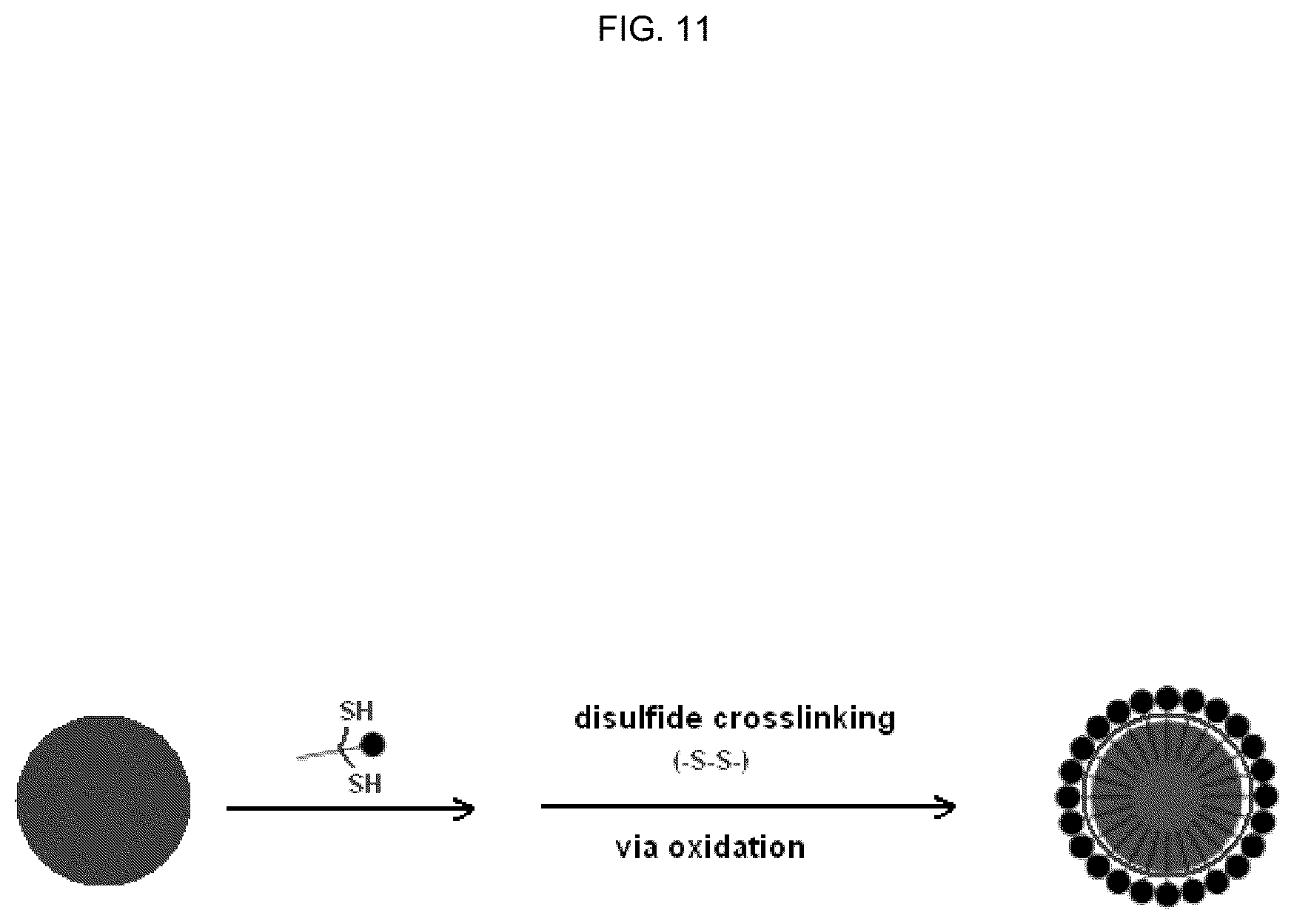 Patent US12496362 Figure 11 – Silicone-based enteric CT contrast material