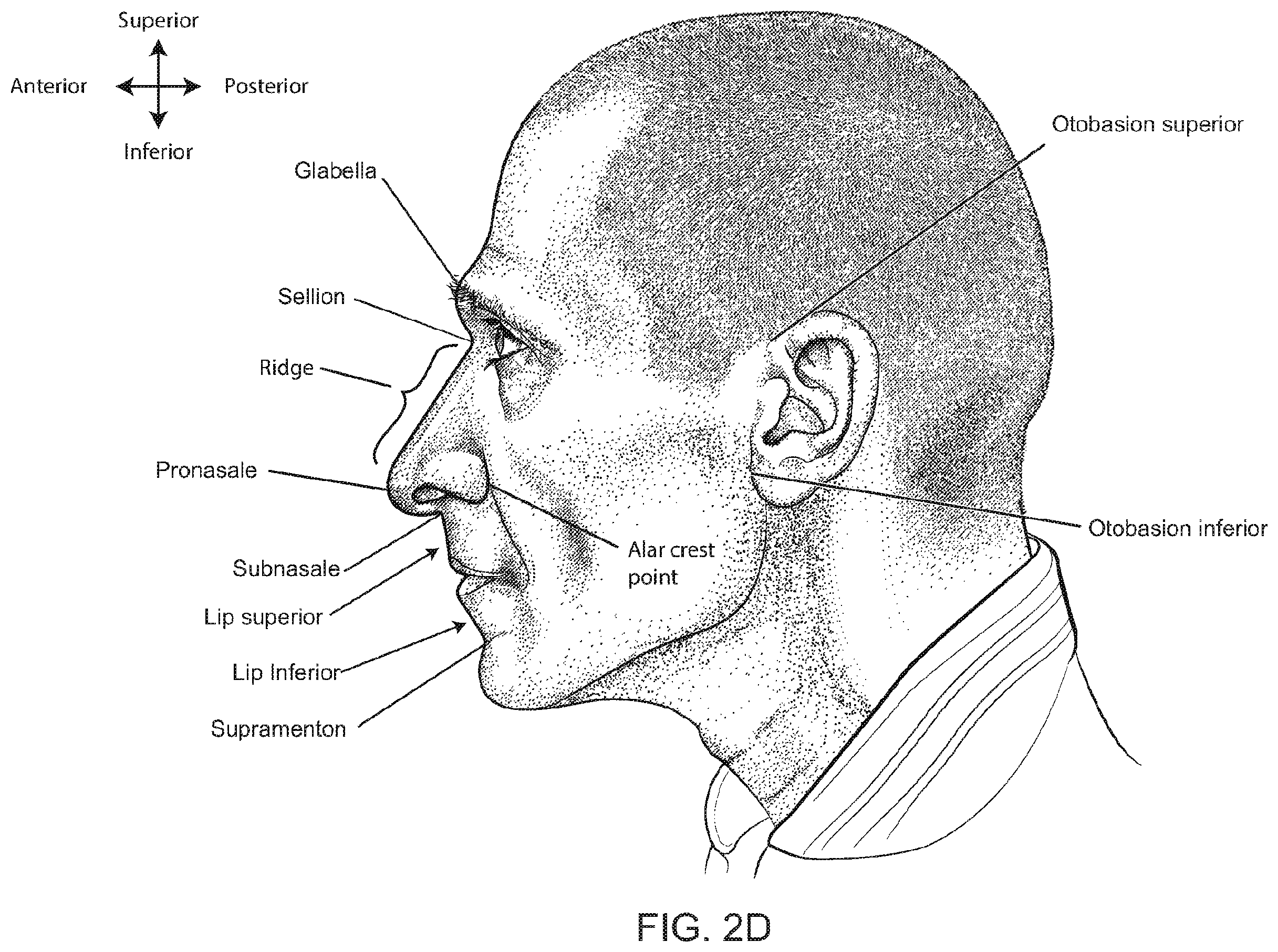Patent US12496422 Figure 7 – Air delivery conduit