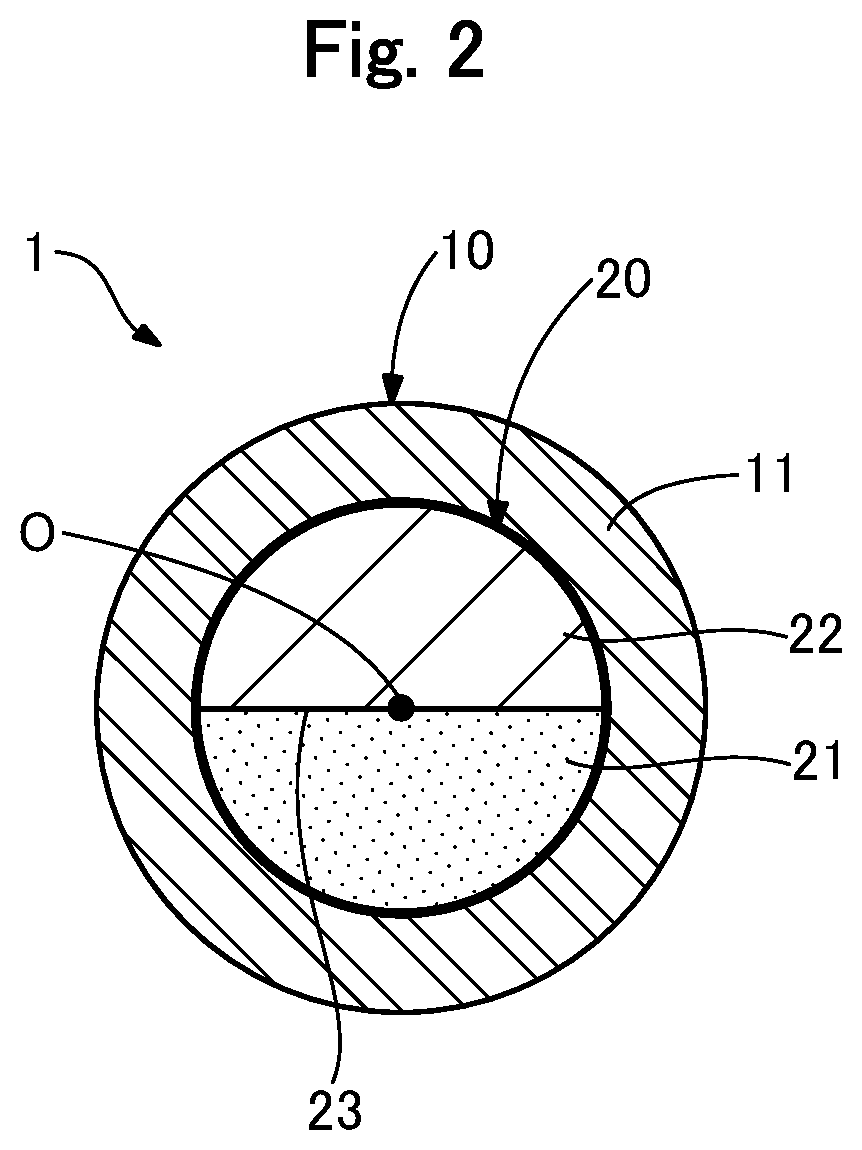 Patent US12496459 Figure 2 – Light irradiation device and light irradiation system