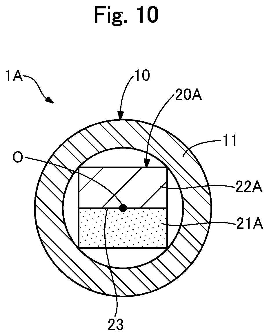 Patent US12496459 Figure 10 – Light irradiation device and light irradiation system