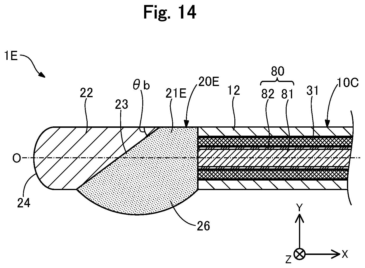 Patent US12496459 Figure 14 – Light irradiation device and light irradiation system