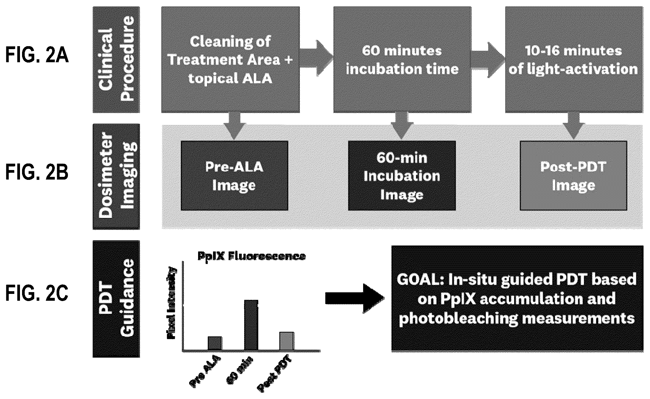 Patent US12496460 Figure 2 – System and method for quantitative dosimetry of photodynamic therapy in skin