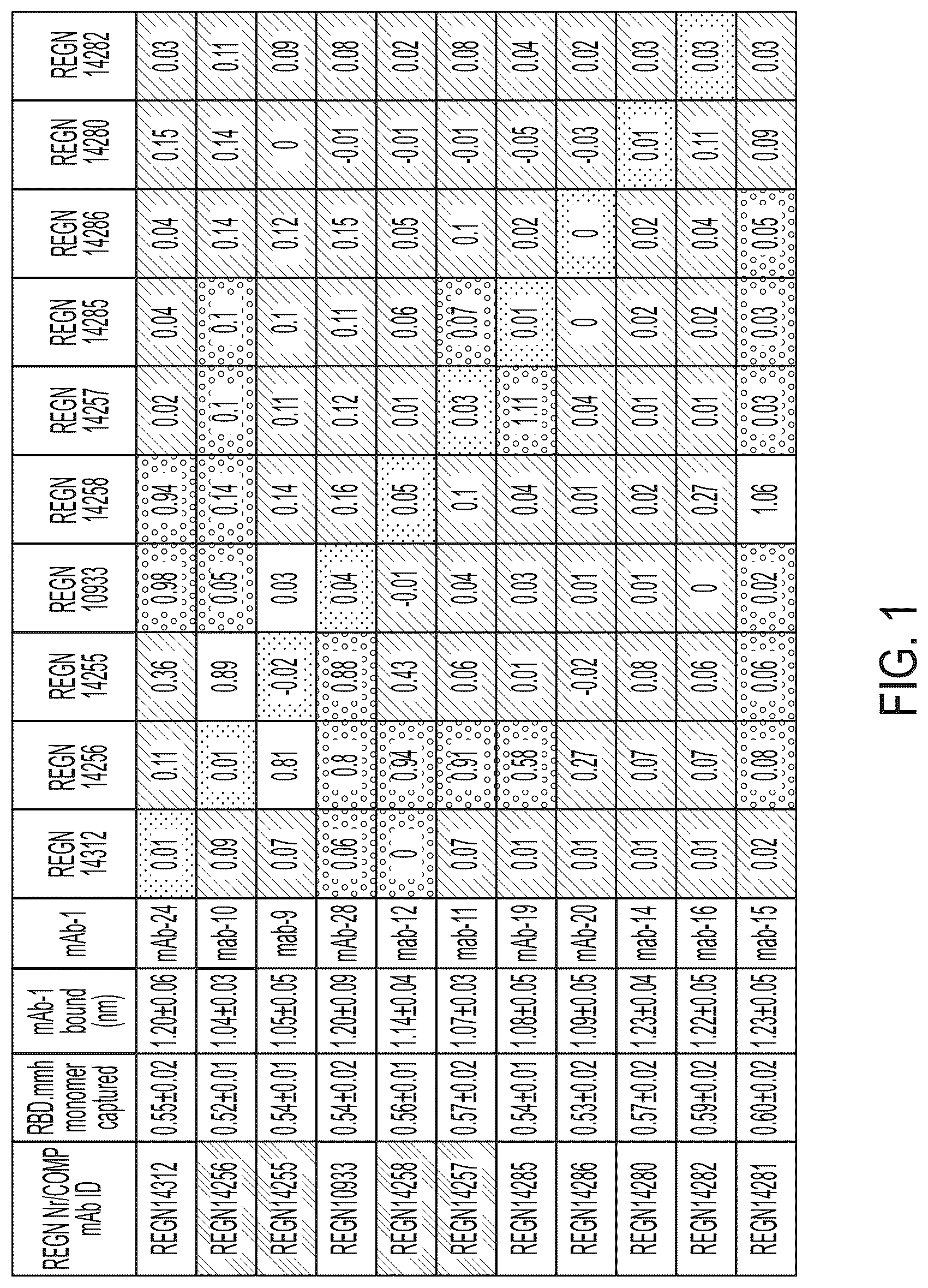 Patent US12496470 Figure 1 – Anti-SARS-CoV-2-spike glycoprotein antibodies and antigen-binding fragments