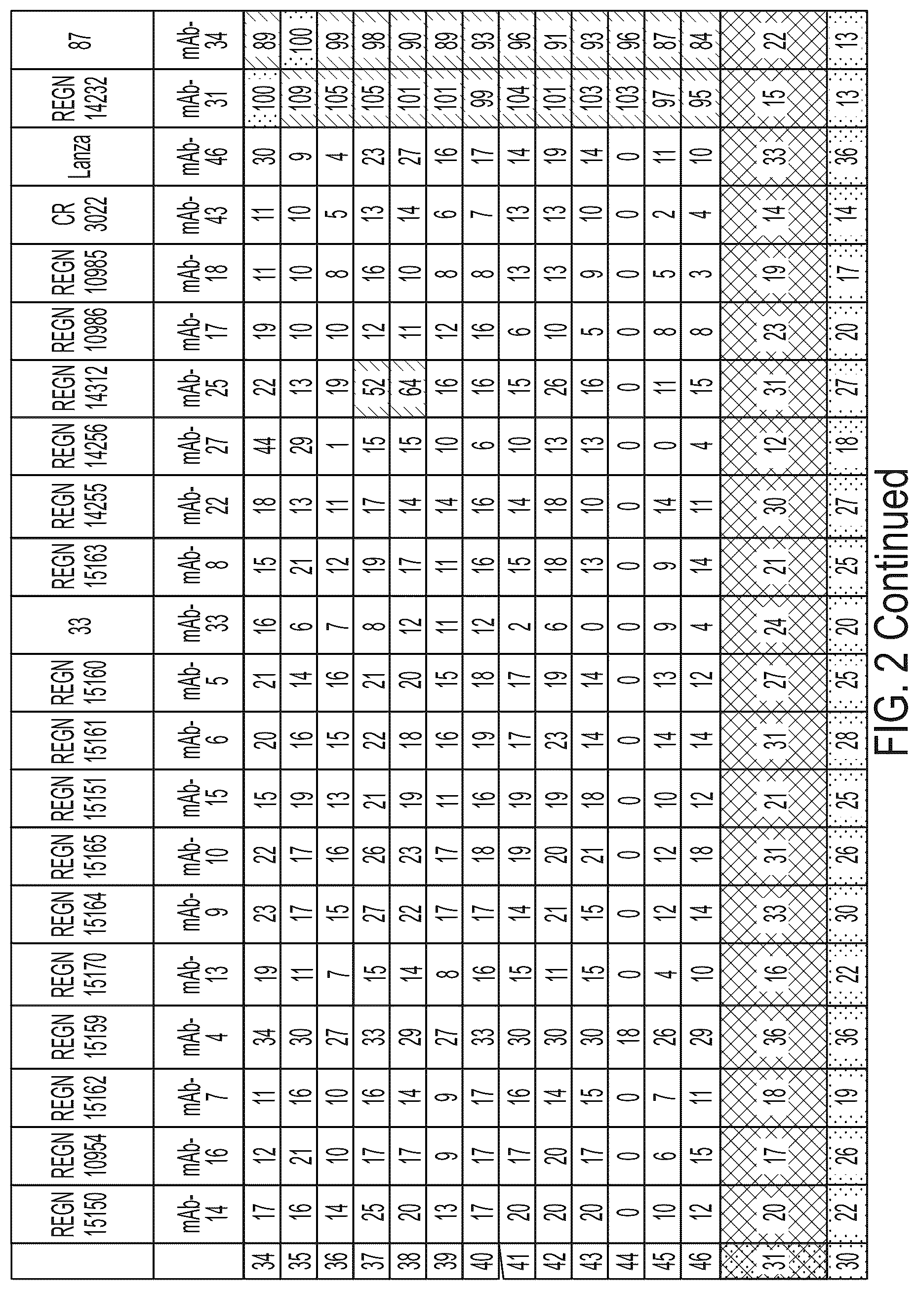 Patent US12496470 Figure 17 – Anti-SARS-CoV-2-spike glycoprotein antibodies and antigen-binding fragments