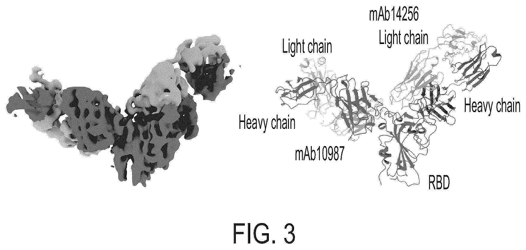 Patent US12496470 Figure 19 – Anti-SARS-CoV-2-spike glycoprotein antibodies and antigen-binding fragments