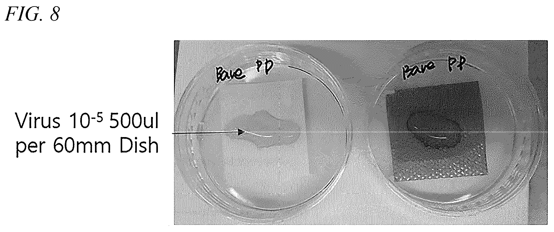 Patent US12496542 Figure 7 – Antibacterial or antiviral filter having improved coating durability and UV durability