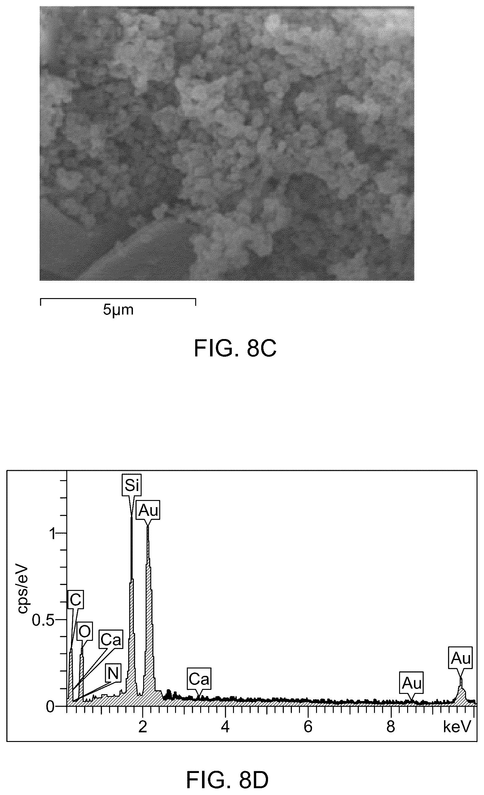 Patent US12496554 Figure 11 – Triamine-functionalized MCM-41-based filtration membrane