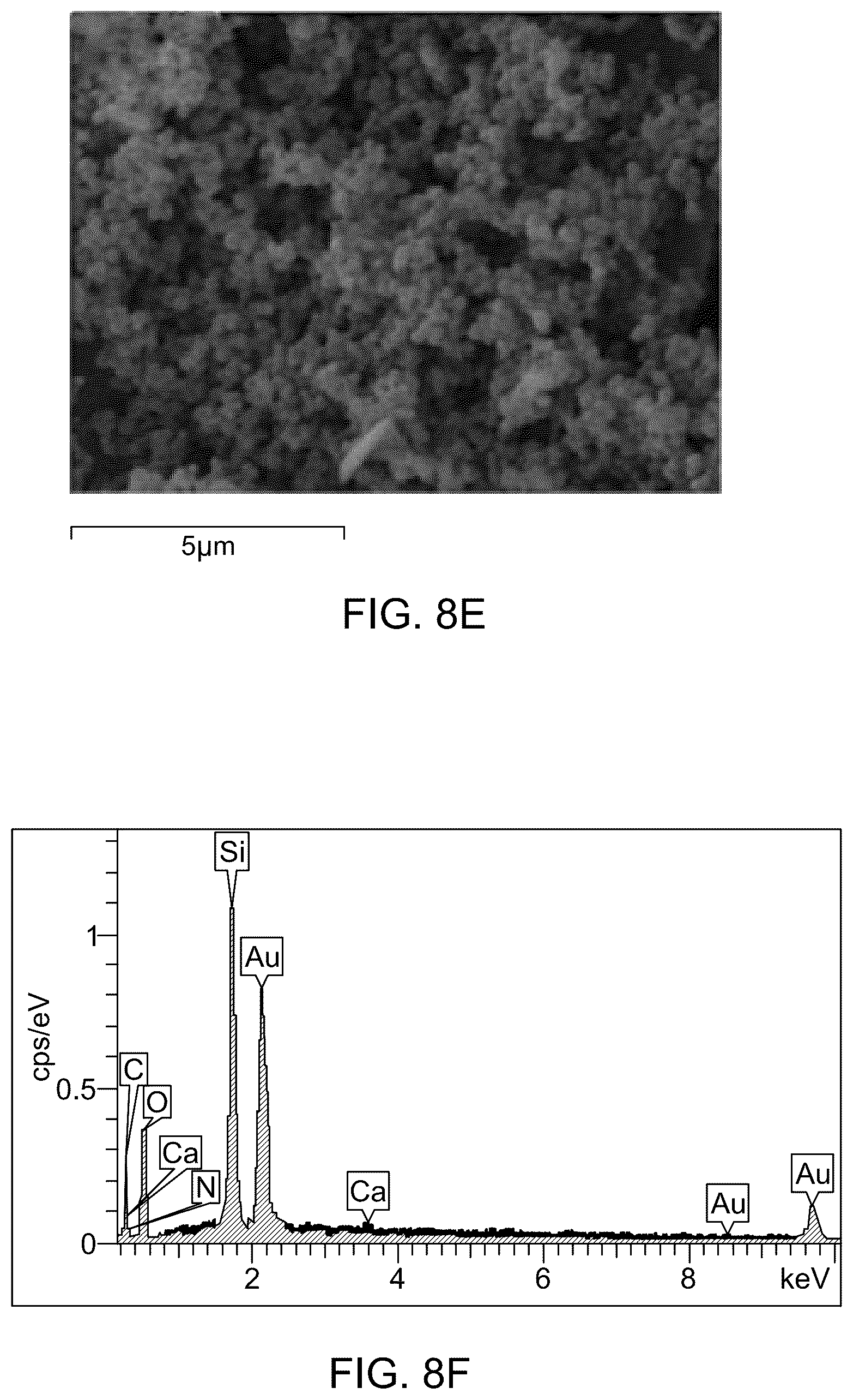 Patent US12496554 Figure 12 – Triamine-functionalized MCM-41-based filtration membrane