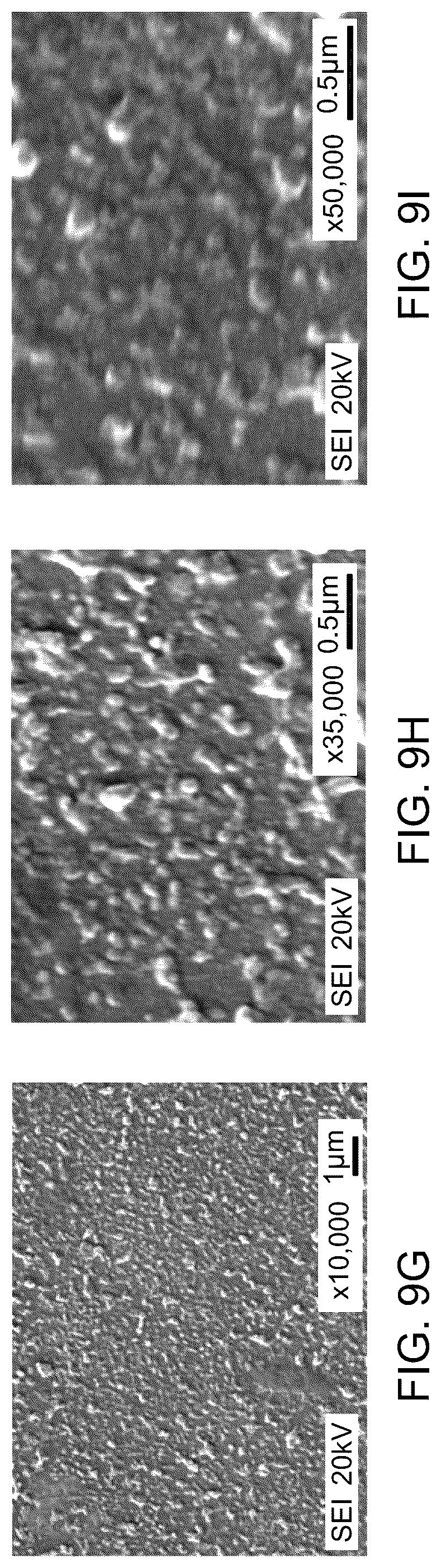 Patent US12496554 Figure 14 – Triamine-functionalized MCM-41-based filtration membrane