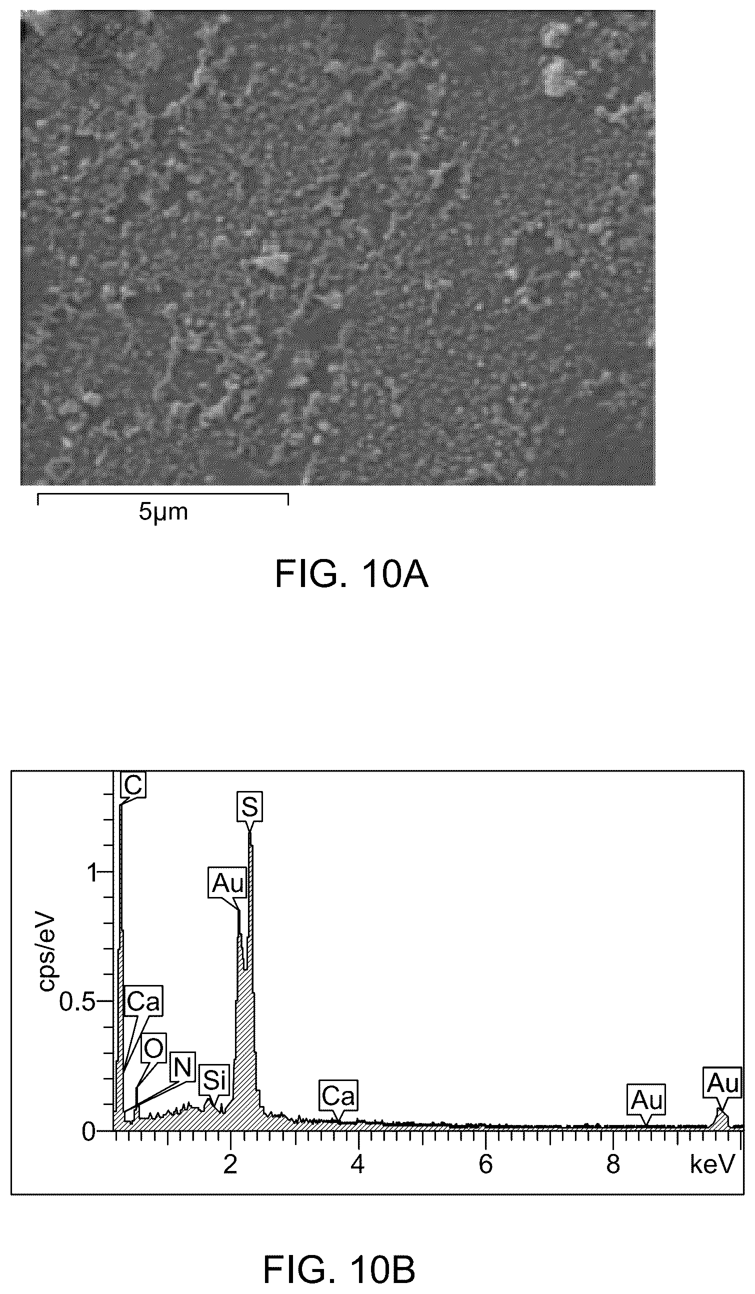 Patent US12496554 Figure 15 – Triamine-functionalized MCM-41-based filtration membrane