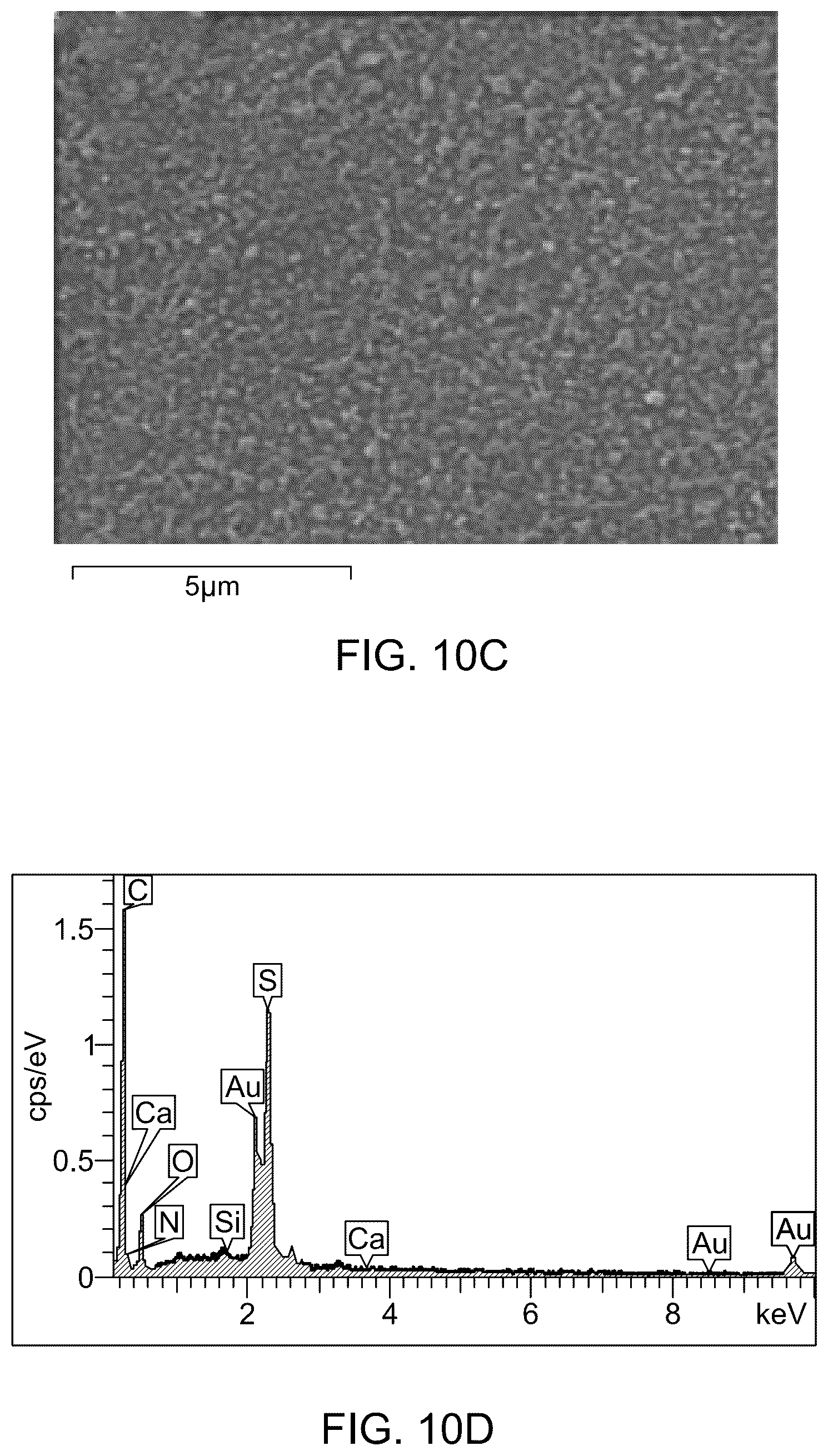Patent US12496554 Figure 16 – Triamine-functionalized MCM-41-based filtration membrane